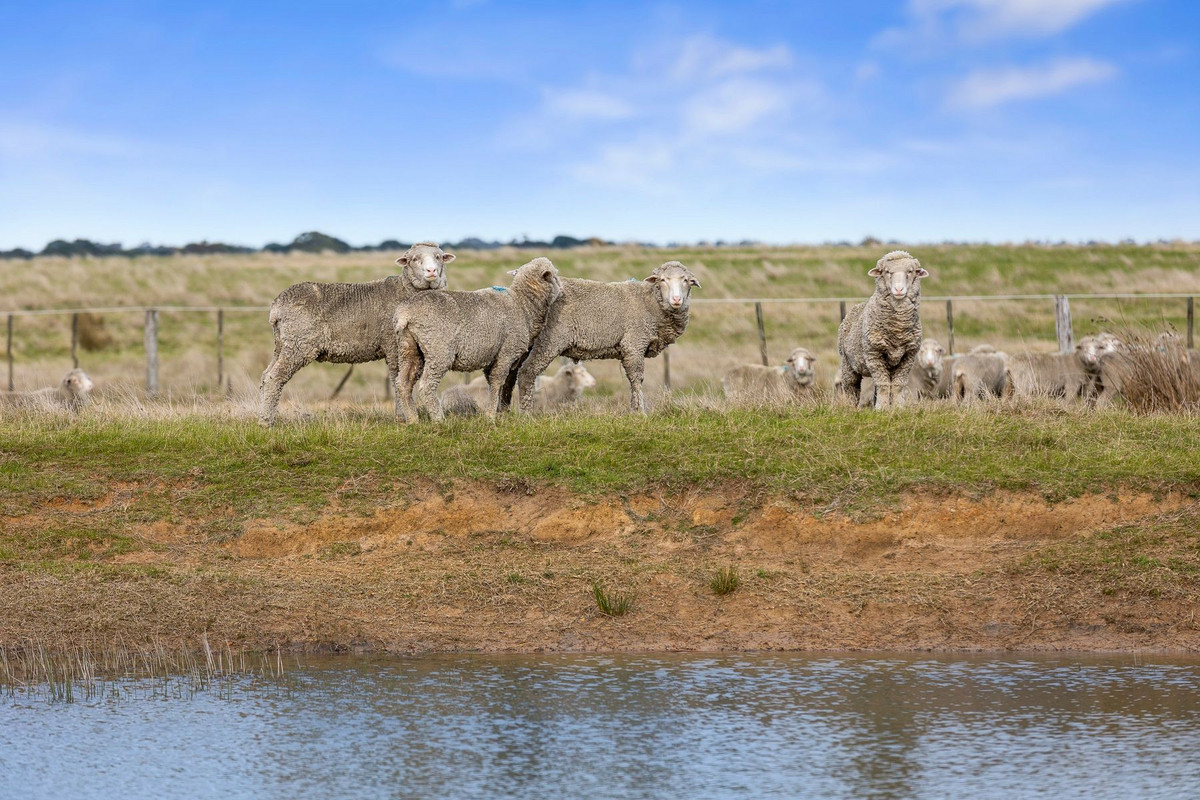 485 Grossmans Road, Torquay, Vic, 3228 - Image 5