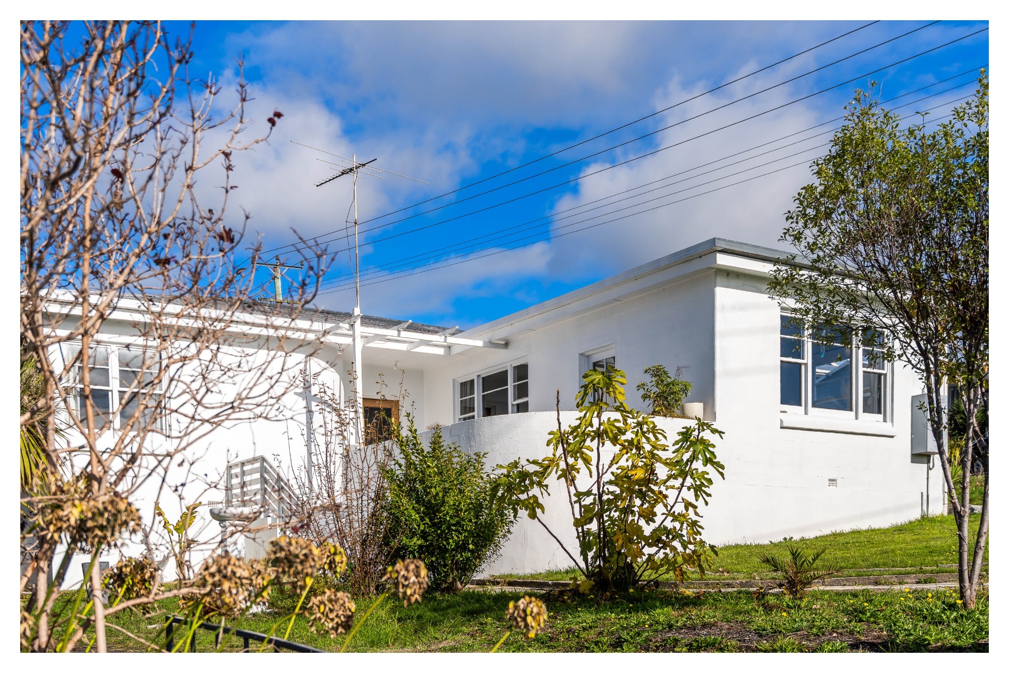 21 FRANCES STREET, Bridport TAS 7262 - Image 1