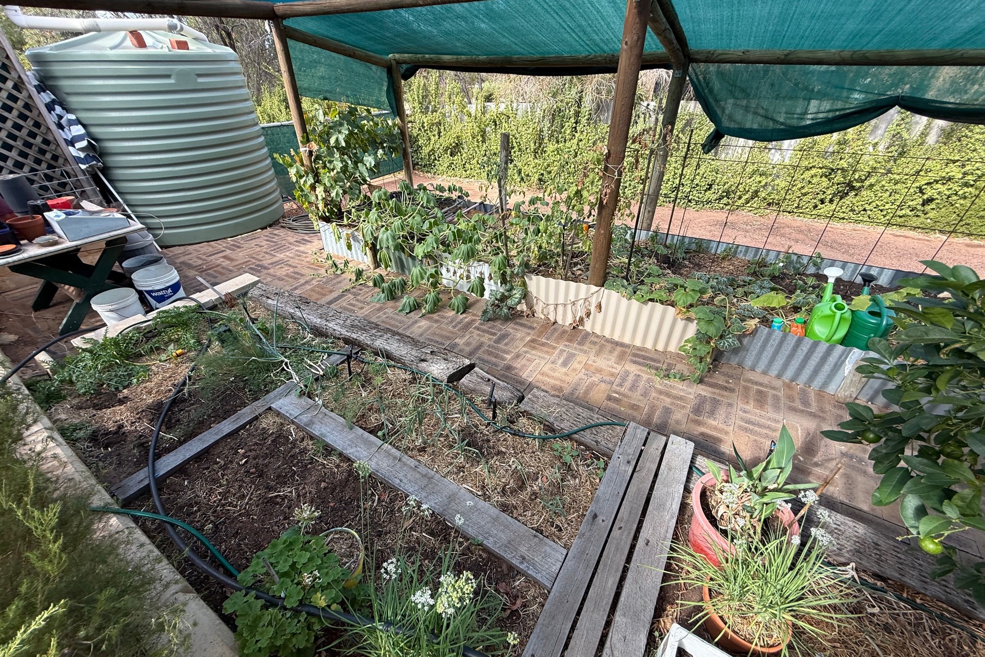 3-bedroom house at 51 Ford Street, York, WA 6302, York, Western Australia