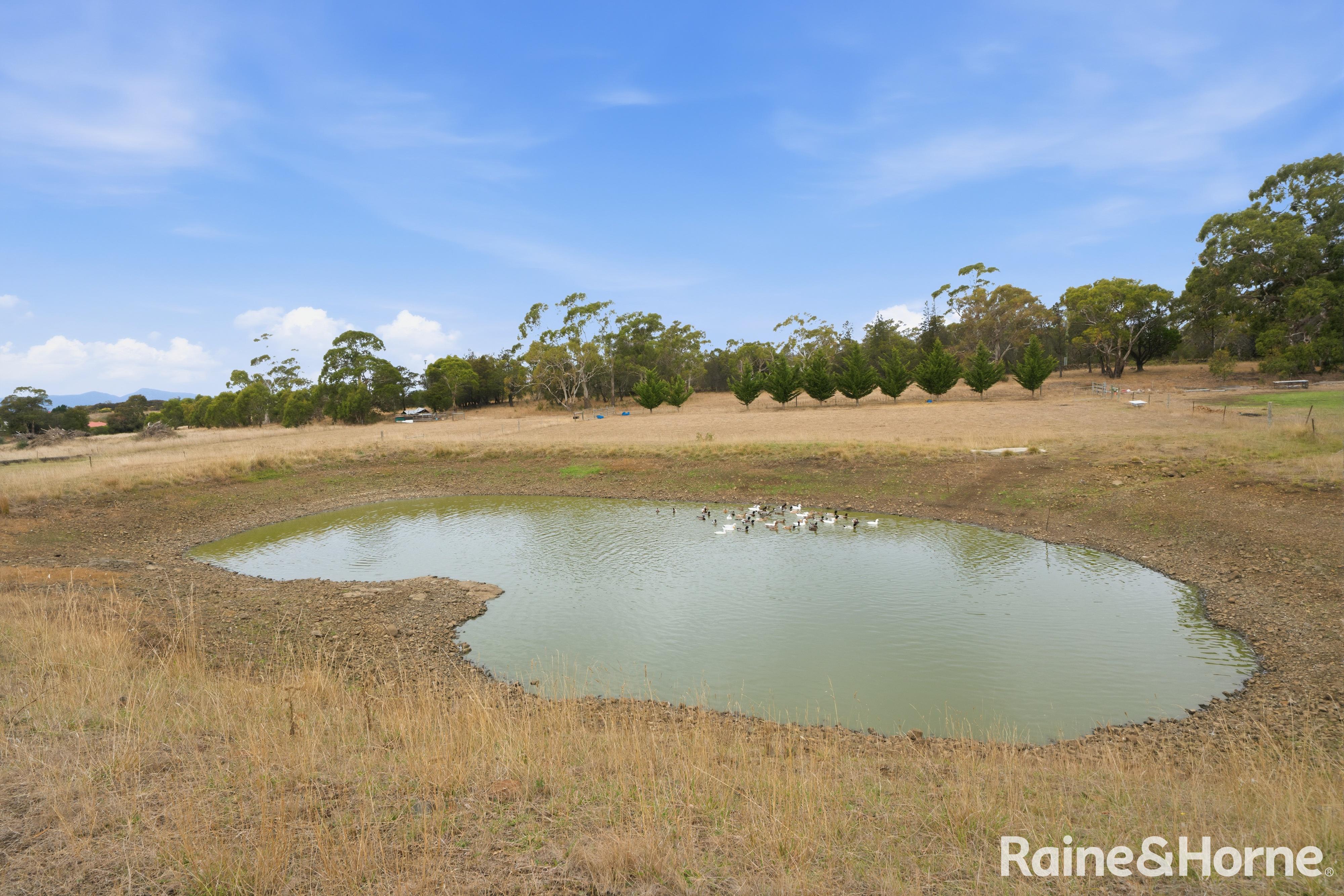 4-bedroom house at 13150 TASMAN HIGHWAY, Swansea TAS 7190, Glamorgan-Spring Bay, Tasmania
