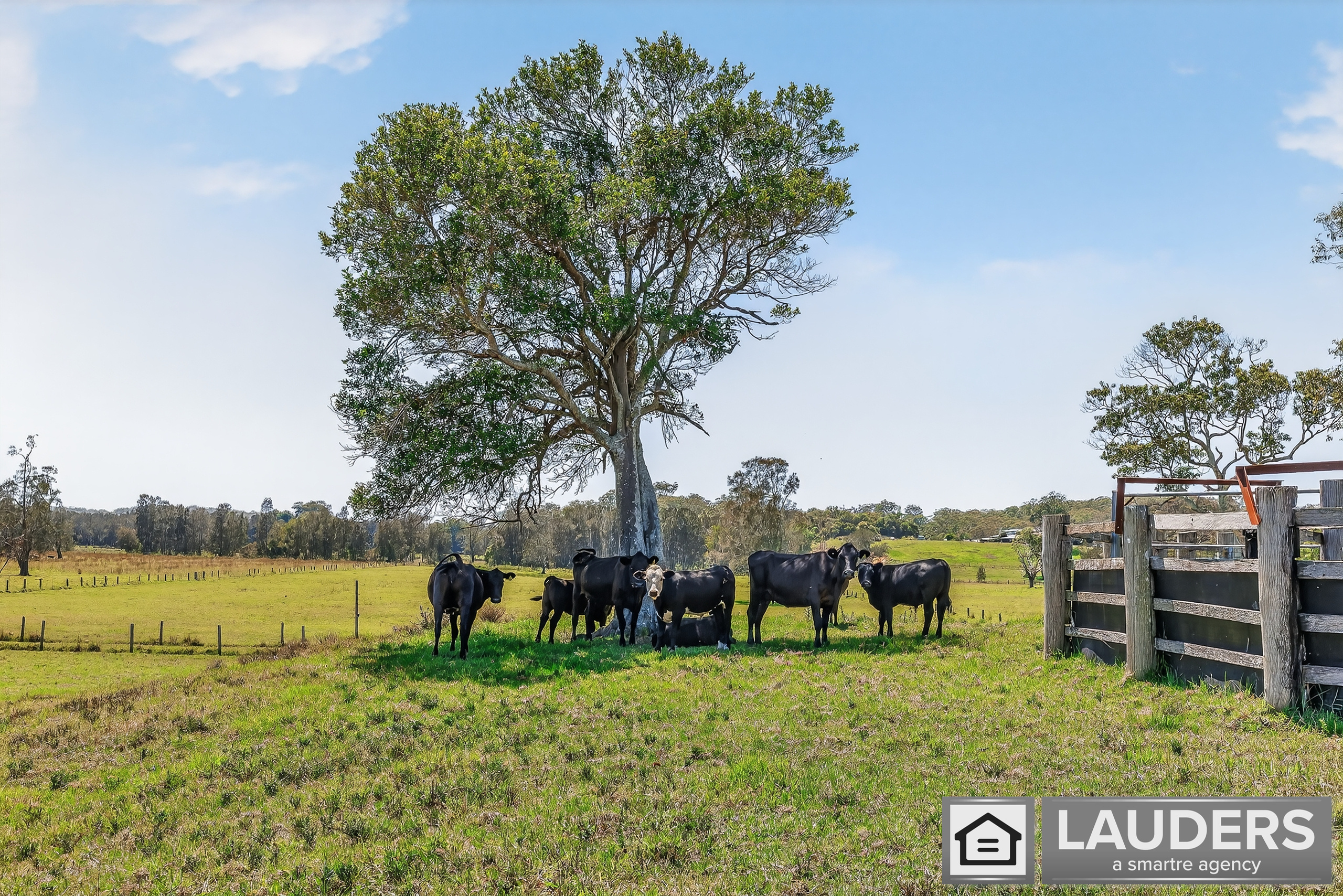 6-bedroom house at 157 OXLEY ISLAND ROAD, Oxley Island NSW 2430, Mid-Coast, New South Wales