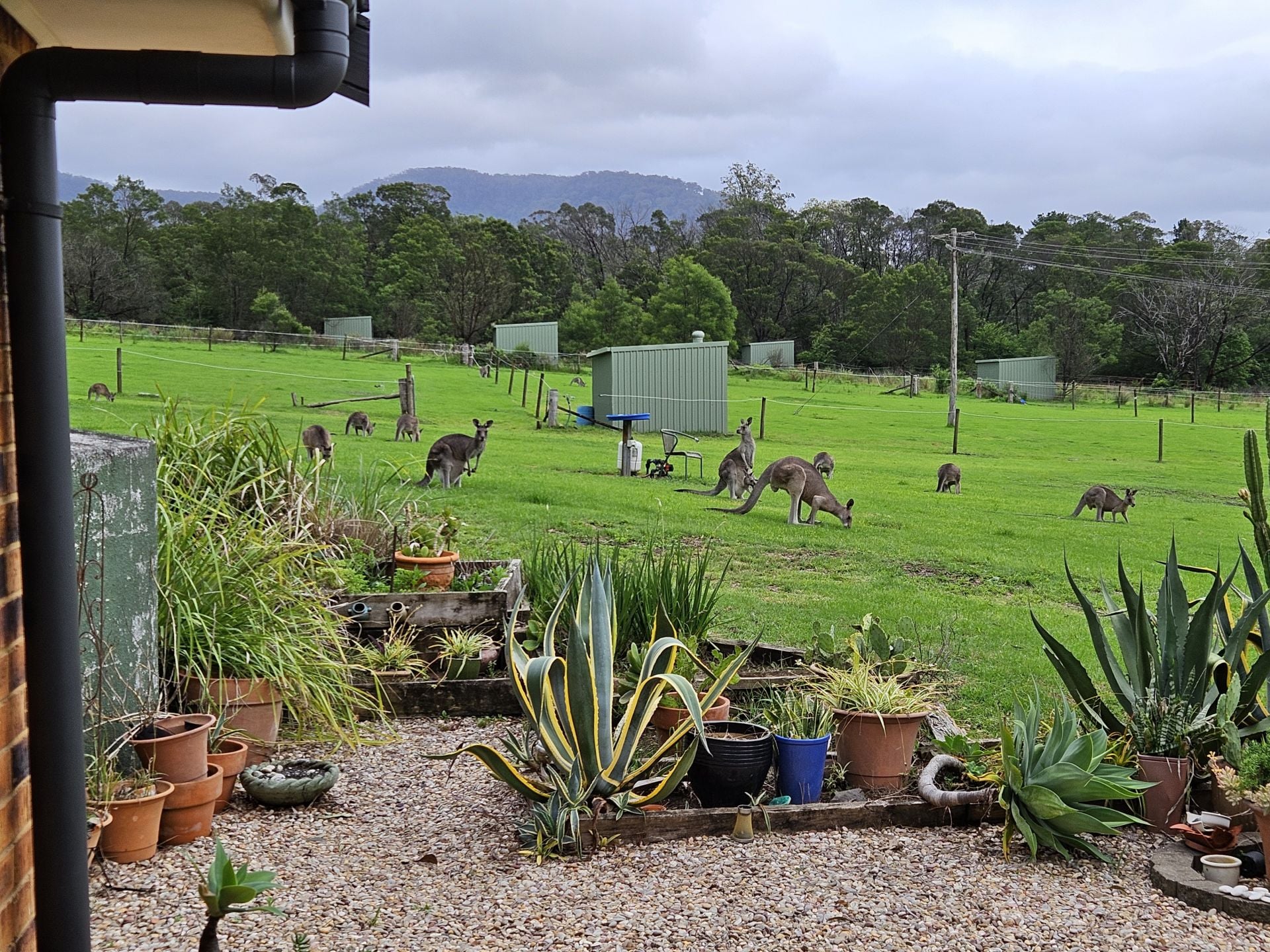 60 Mount Scanzi Road, Kangaroo Valley, Nsw, 2577 - Image 8