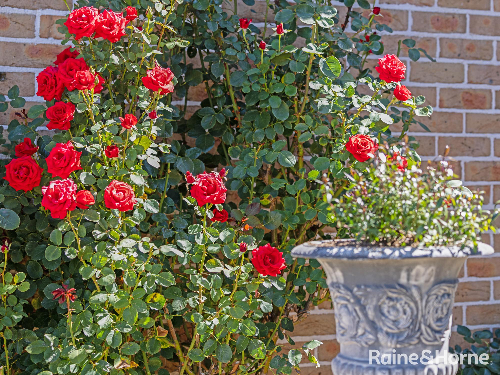 4-bedroom house at 11 Willott Close, Eglinton, NSW 2795, Bathurst, New South Wales