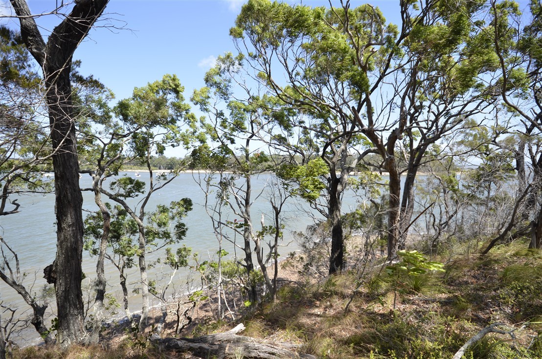 0-bedroom unit at 6 High Central Road, Macleay Island, Qld, 4184, Redland, Queensland