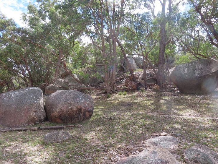 Lot 42 Ravensmoor Road, Stanthorpe, Qld, 4380 - Image 7
