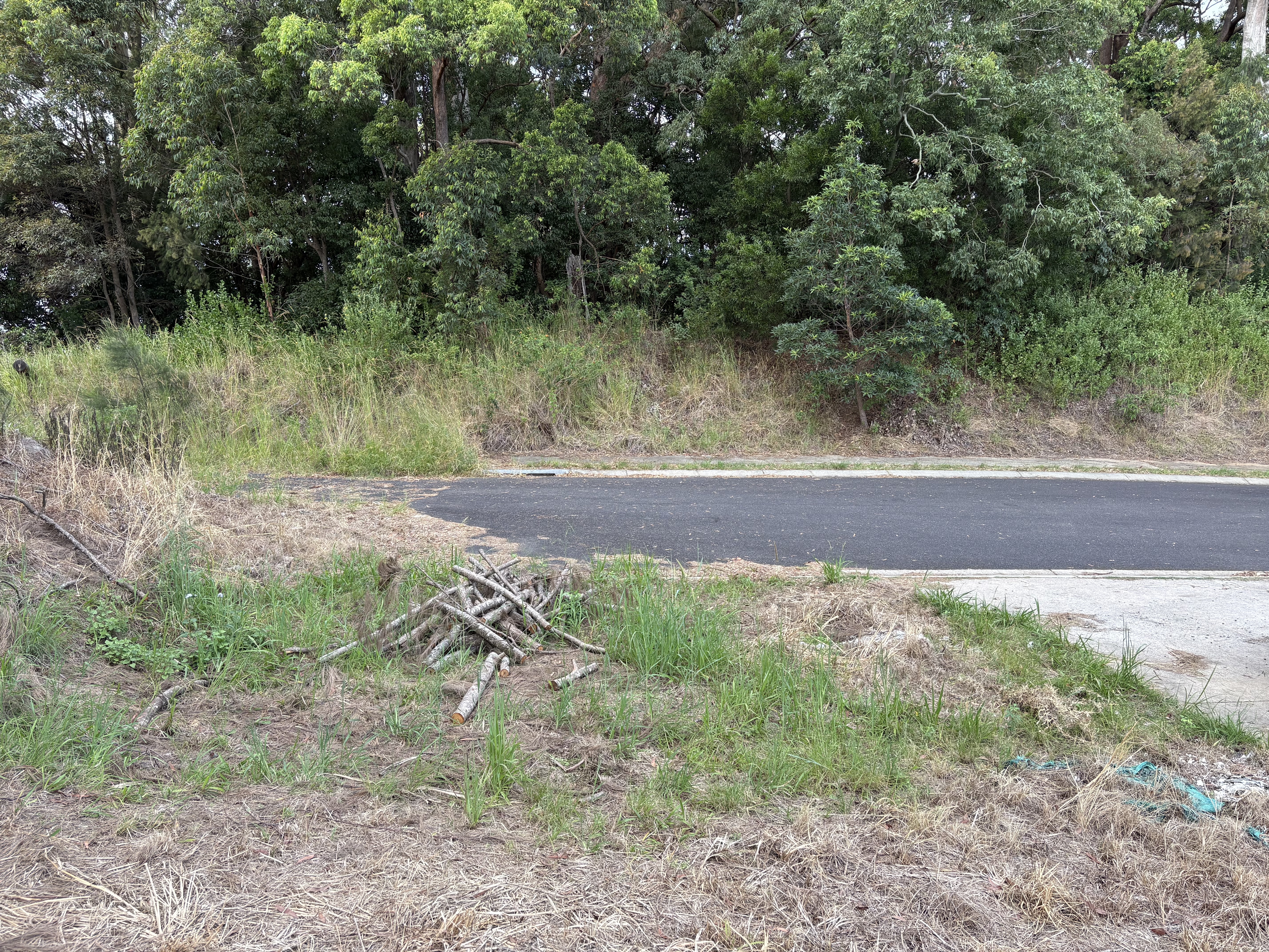 51 Song Trail, Coffs Harbour, Nsw, 2450 - Image 8