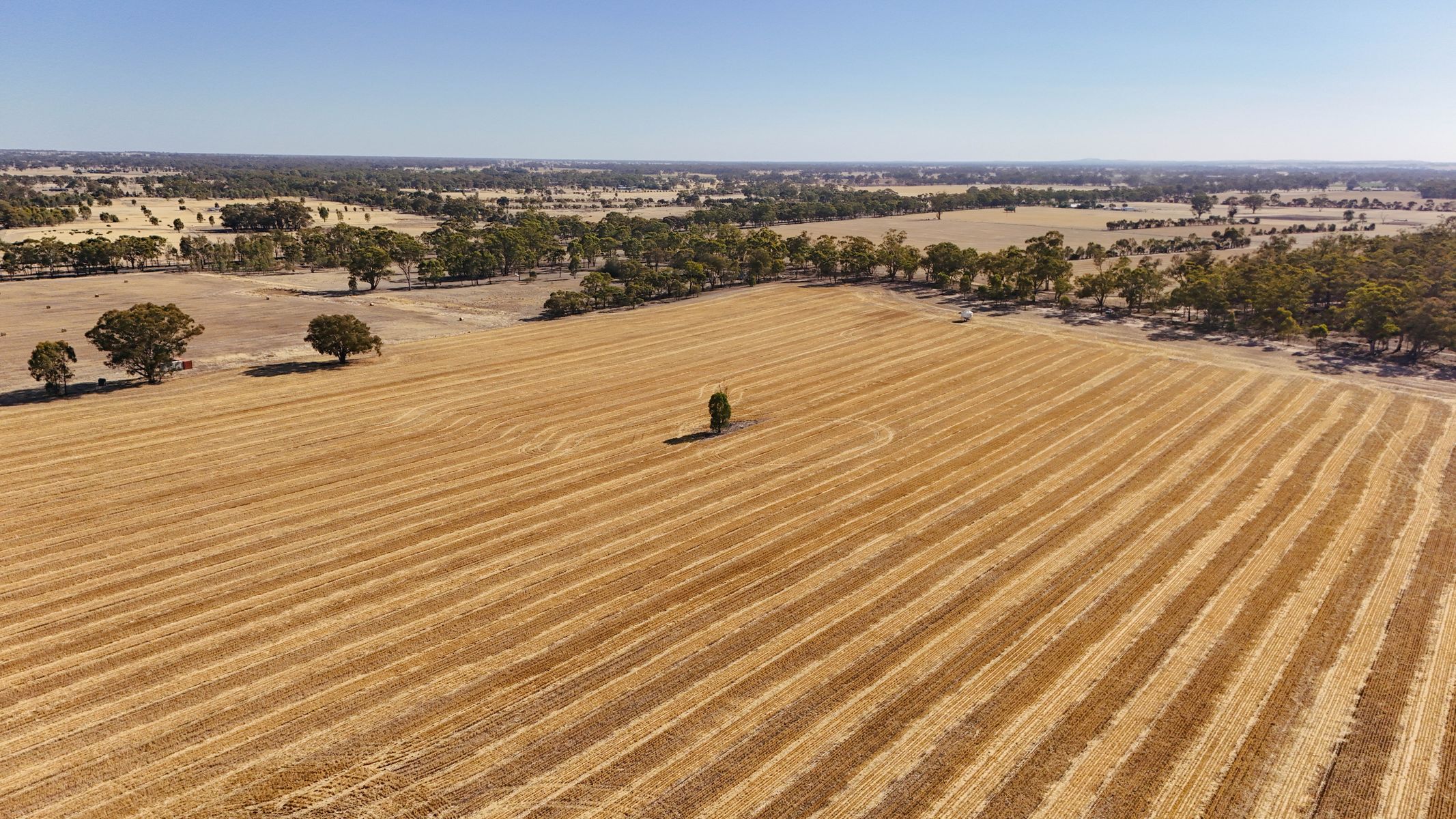 99 Winzar Lane, Goornong, Vic, 3557 - Image 6