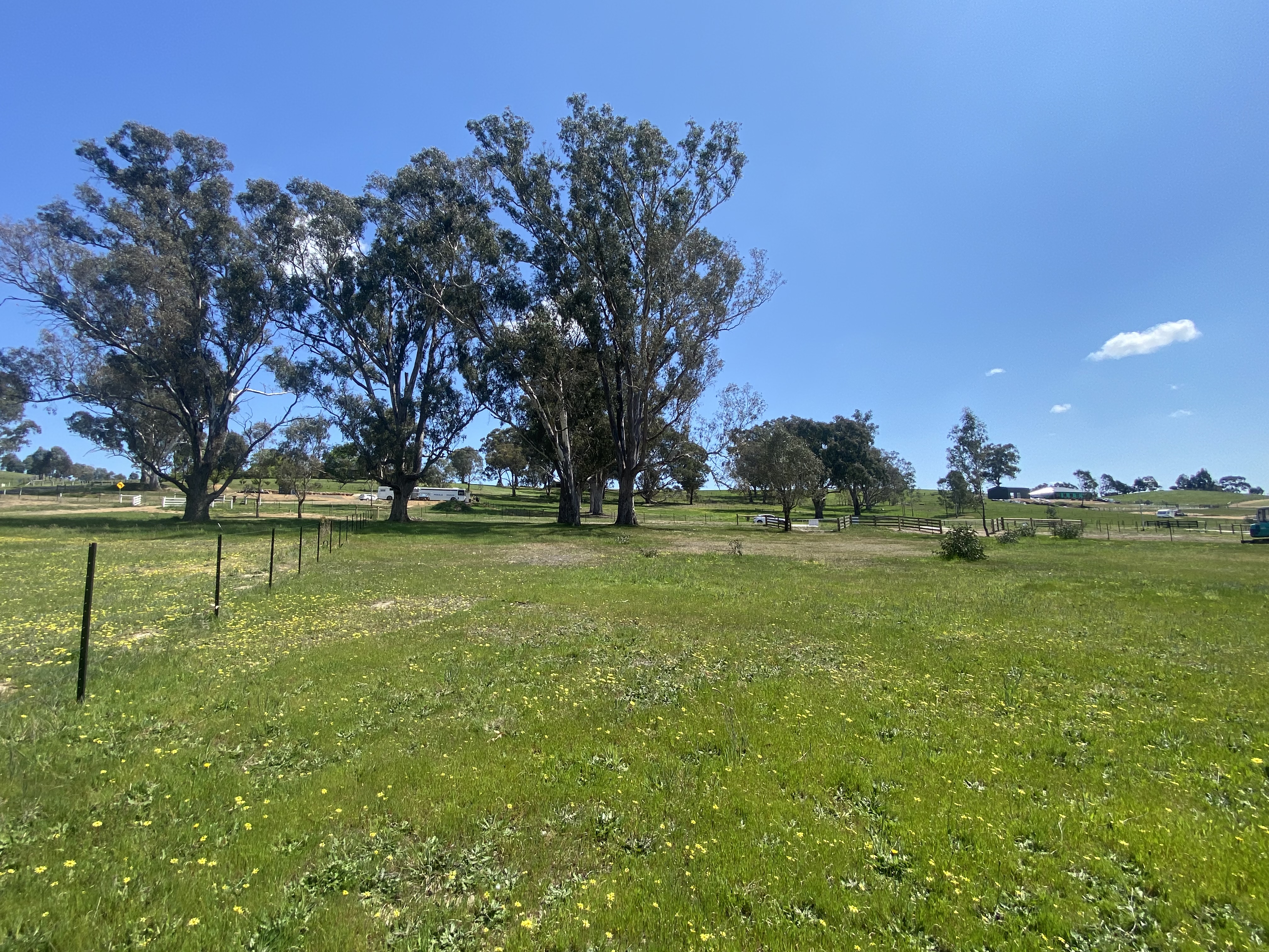 20 Bainbridge Way, Alexandra, VIC 3714 - Image 4