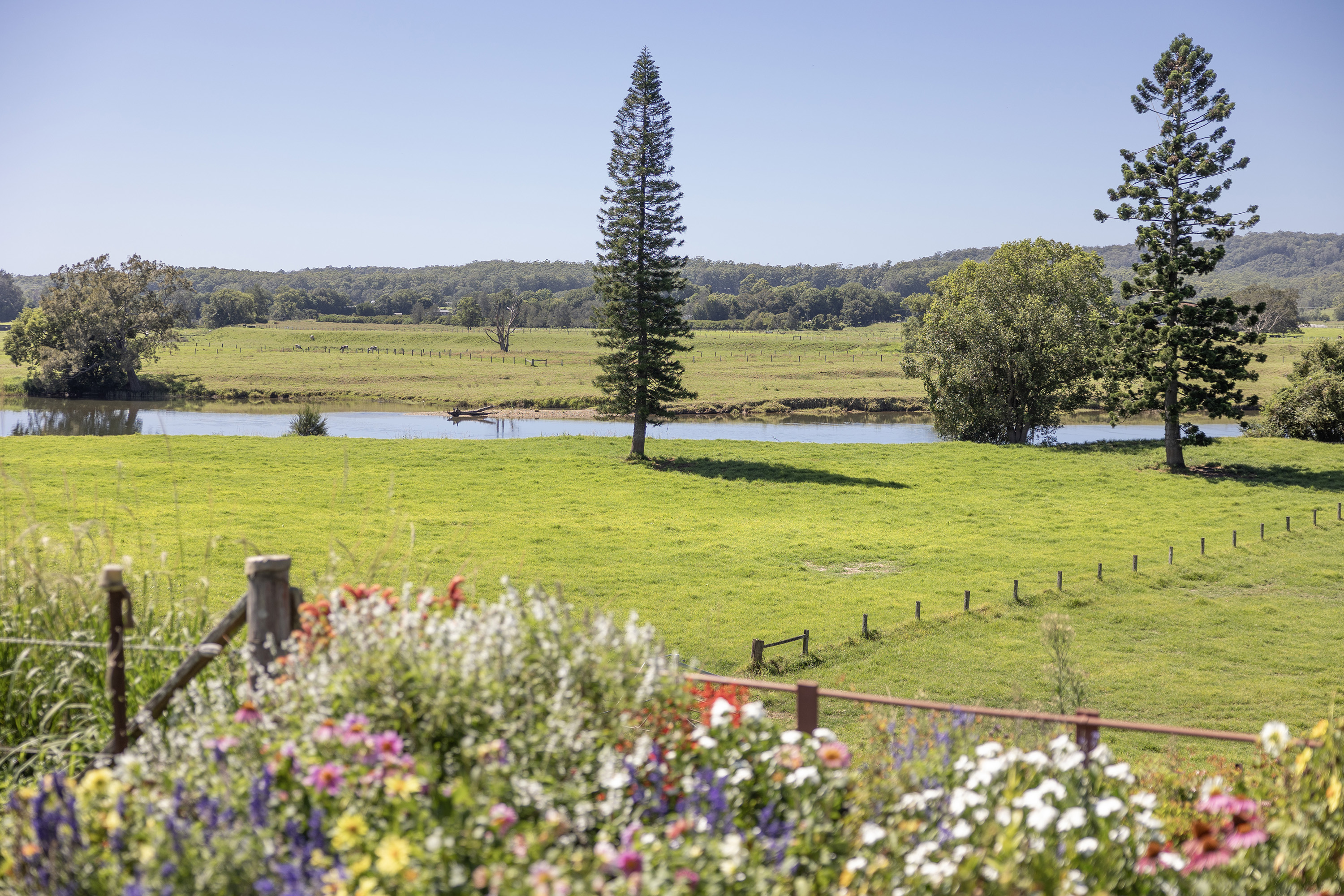 600 North Bank Road, Bellingen, NSW 2454 - Image 2