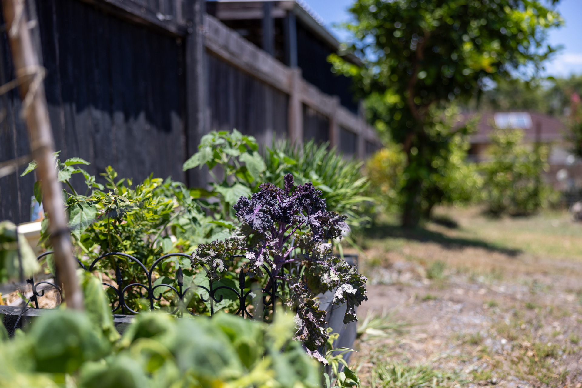 3-bedroom house at 6 GOLLAN STREET, Wingham NSW 2429, Mid-Coast, New South Wales