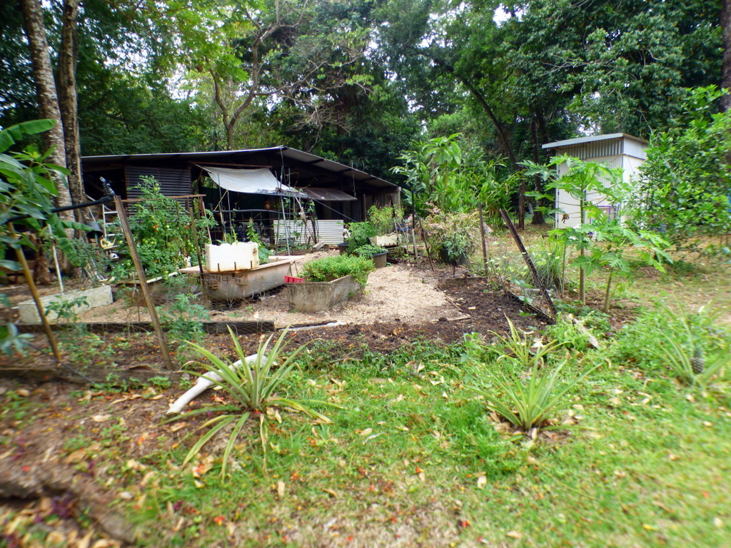 1-bedroom house at 2125-2159 Endeavour Valley Rd, Cooktown, Qld, 4895, Cook, Queensland