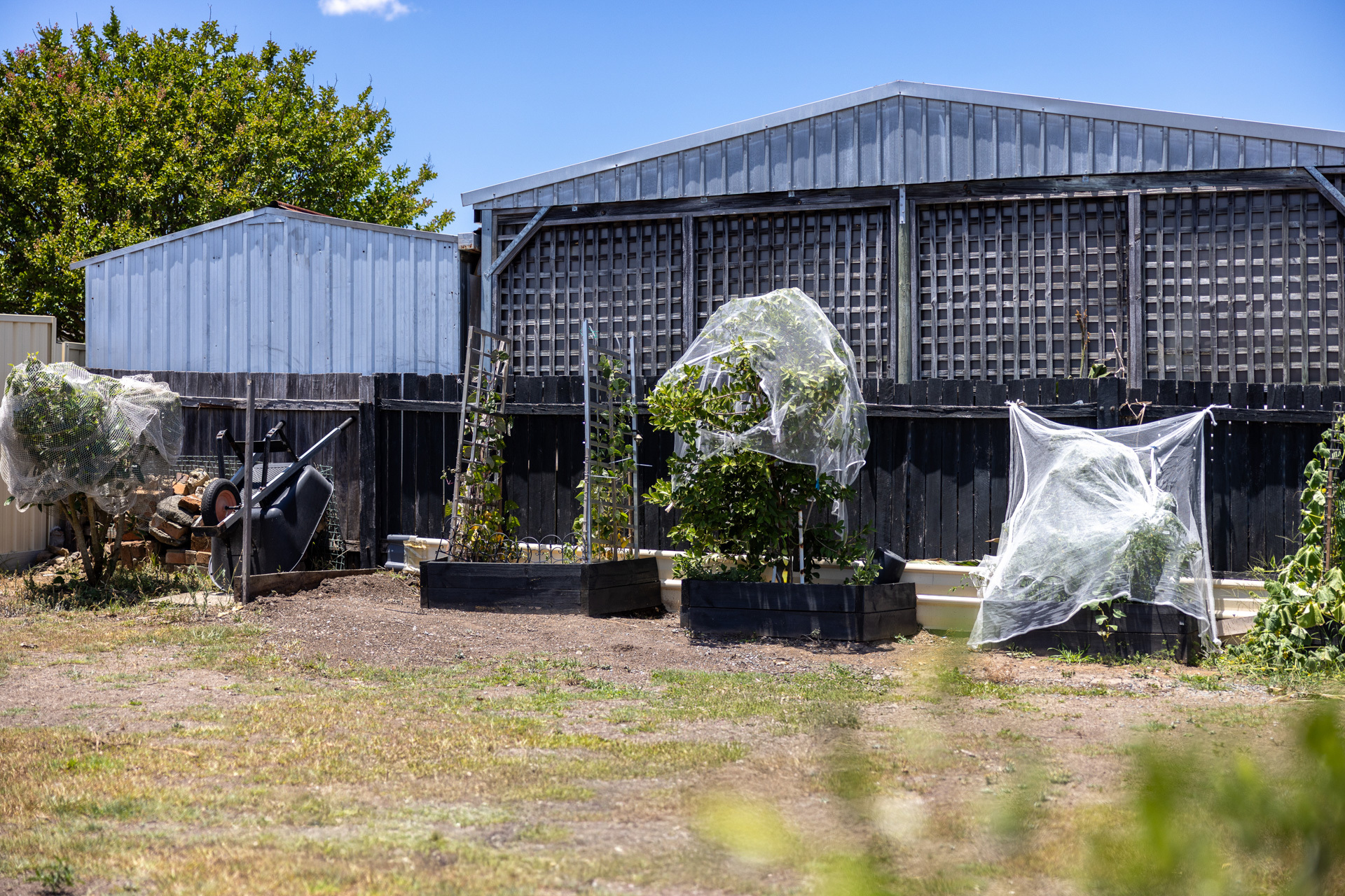 3-bedroom house at 6 GOLLAN STREET, Wingham NSW 2429, Mid-Coast, New South Wales