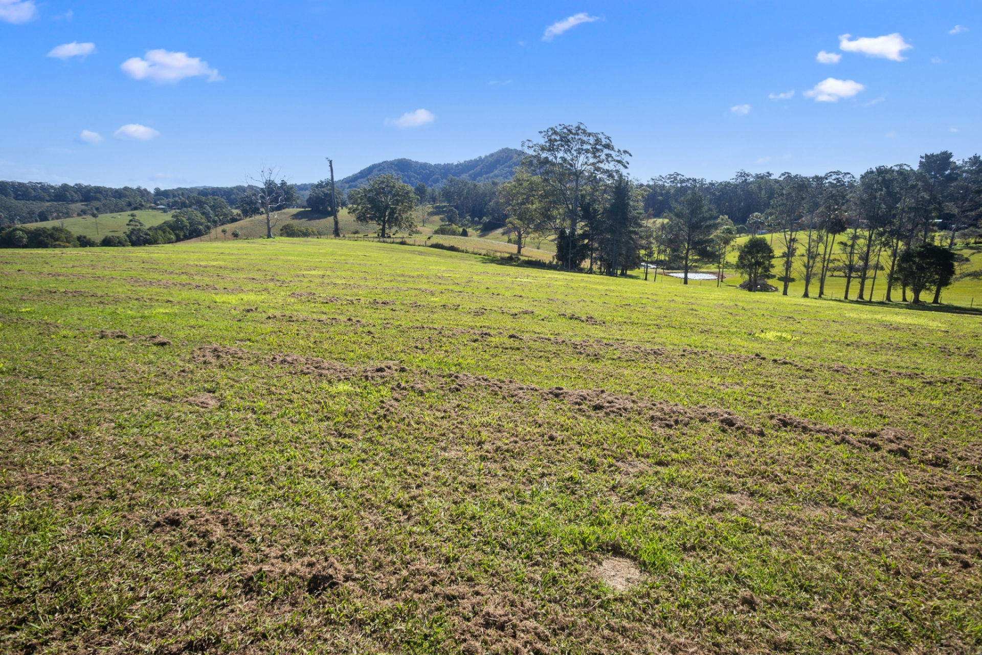 Lot 9 Soldier Settlers Road, Newee Creek, Nsw, 2447 - Image 5
