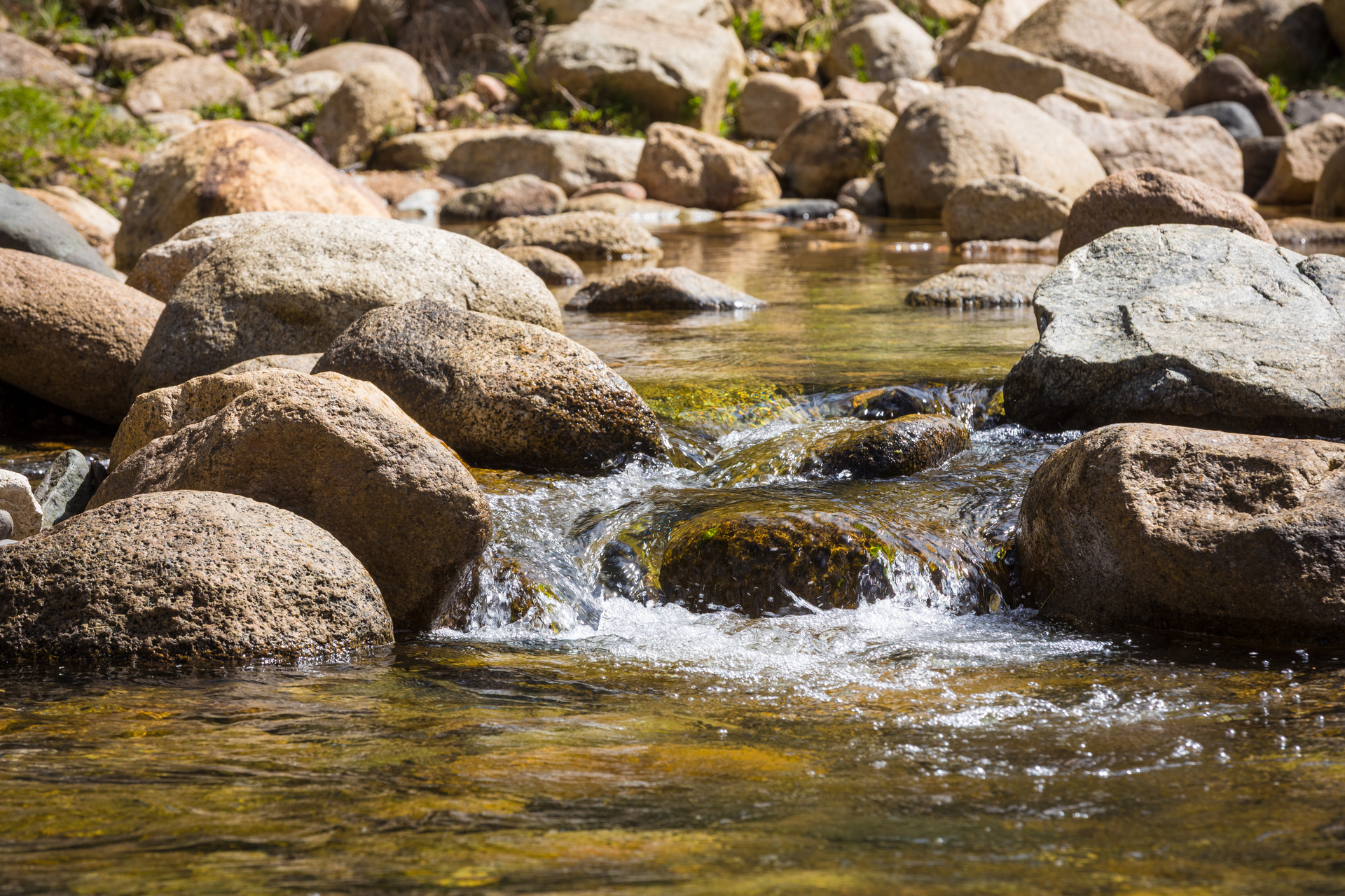 4-bedroom house at 1838 BIG JACK MOUNTAIN ROAD, Rocky Hall NSW 2550, Bega Valley, New South Wales