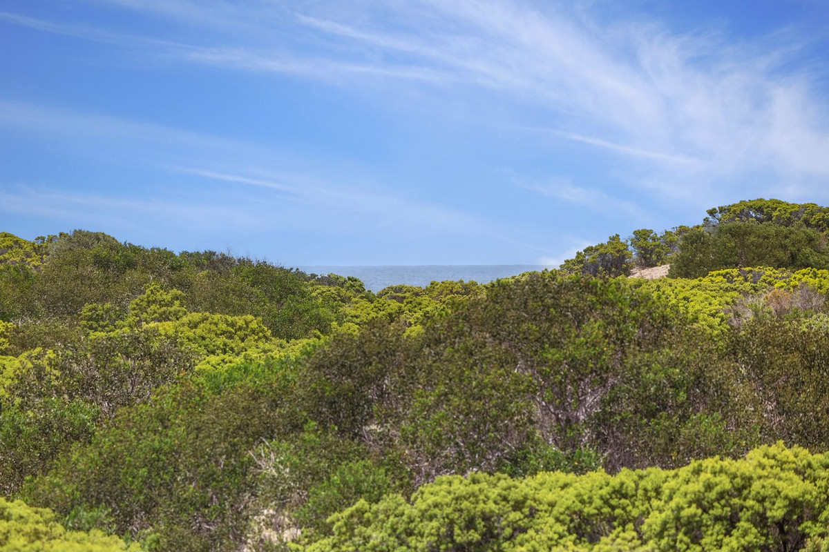 207 The Esplanade, Torquay, Vic, 3228 - Image 9