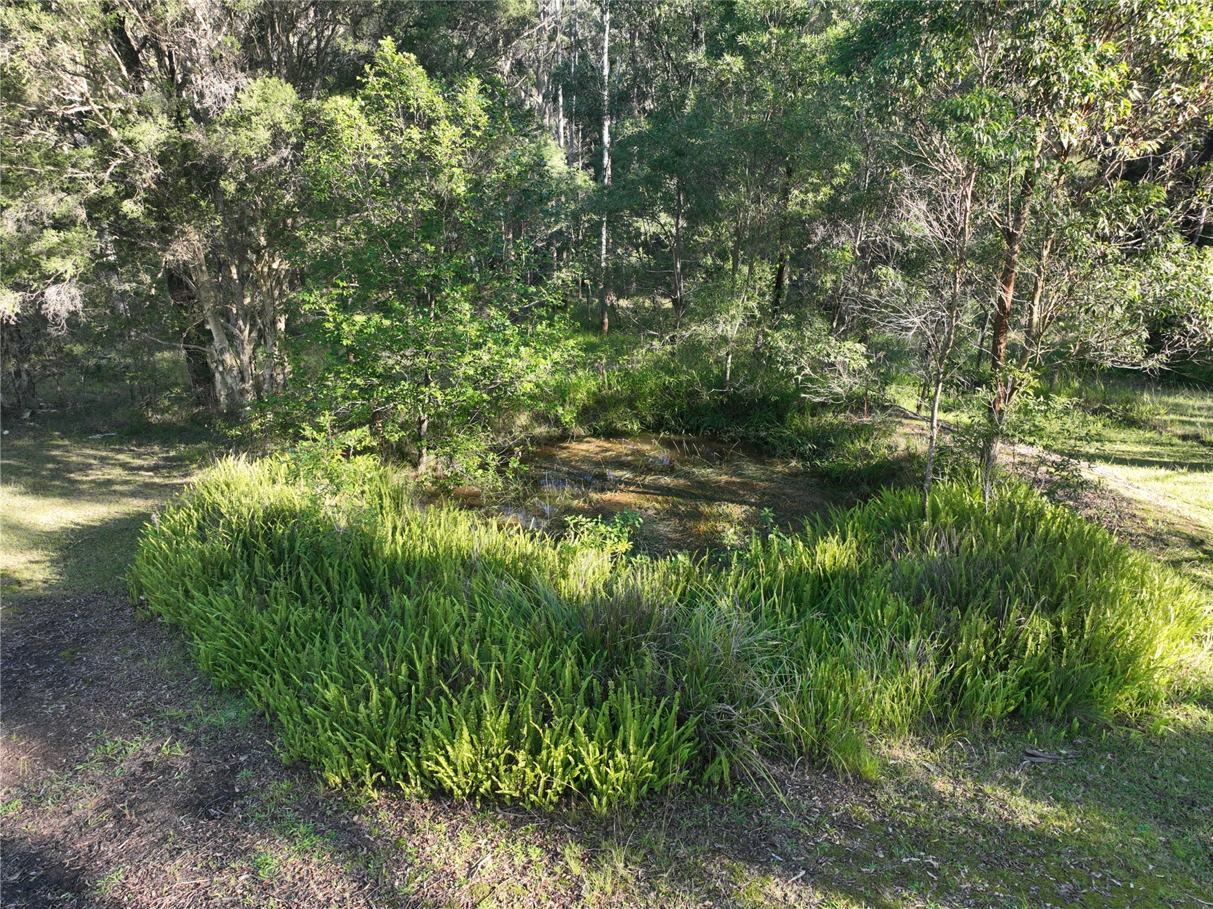 5-bedroom house at 16 Idlewoods Crescent, Rainbow Flat, NSW 2430, Mid-Coast, New South Wales