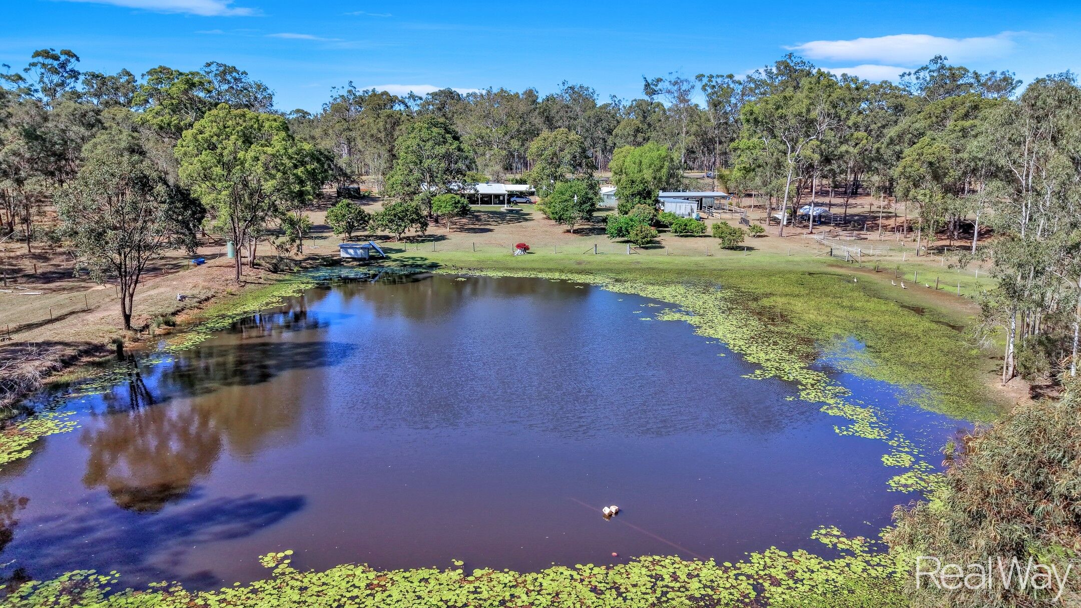105 Reads Road, Bucca, QLD 4670 - Image 4