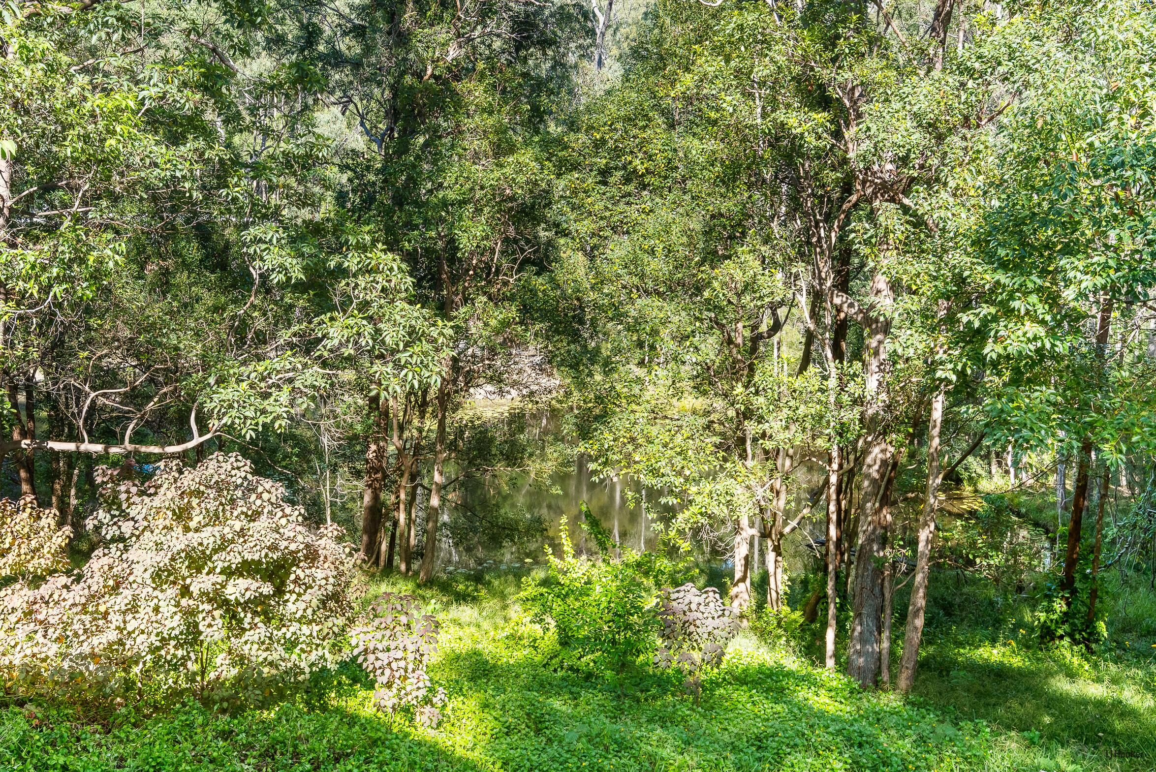 4-bedroom house at 11 KOOMBAHLA DRIVE, Tallebudgera QLD 4228, Gold Coast, Queensland