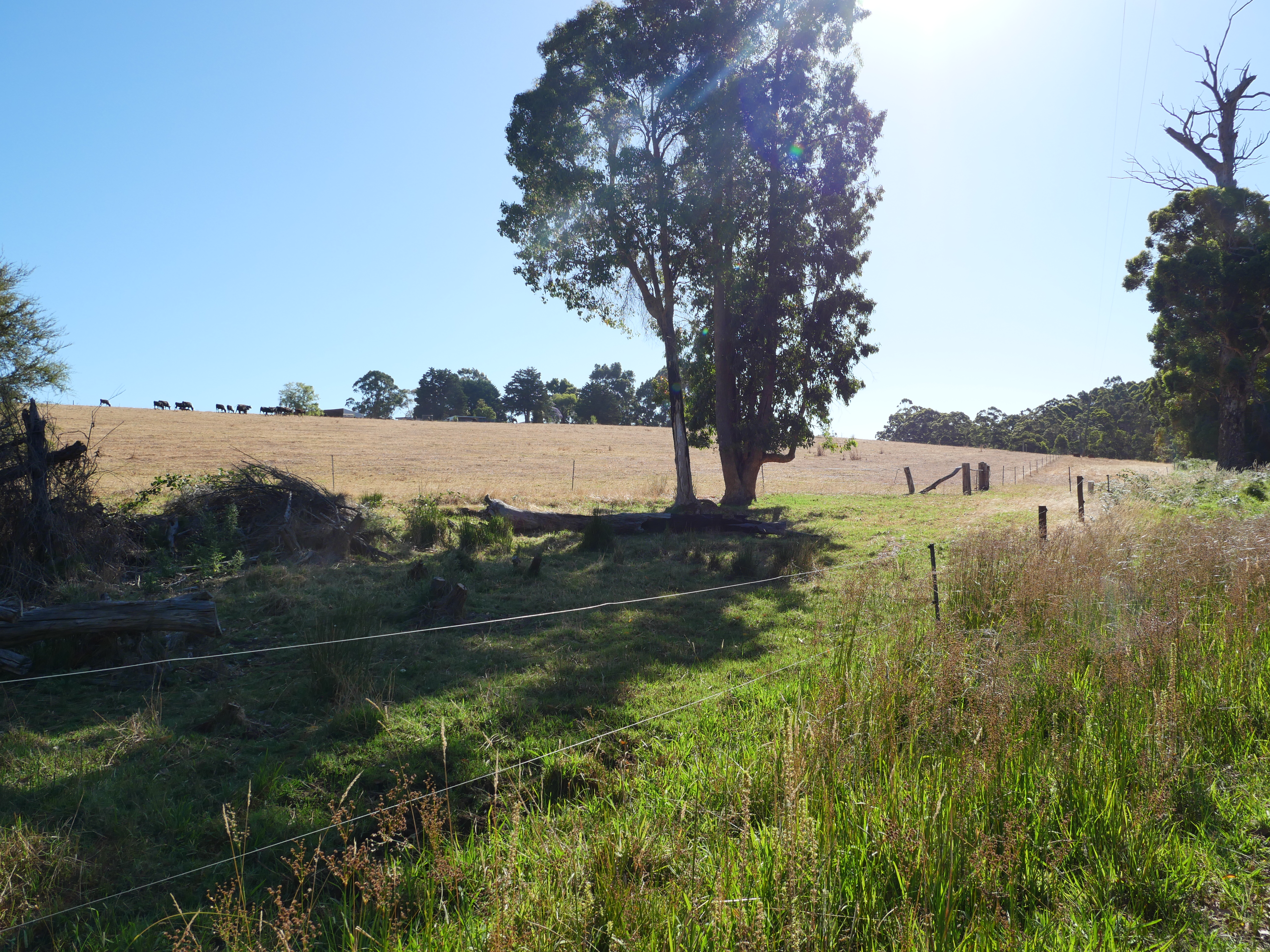 1-bedroom unit at 61 Hayes Road, East Nannup, WA 6275, Nannup, Western Australia