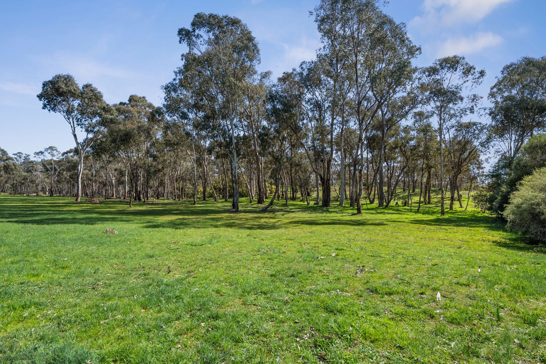 158 Sinclairs Road, Strathfieldsaye, Vic, 3551 - Image 3