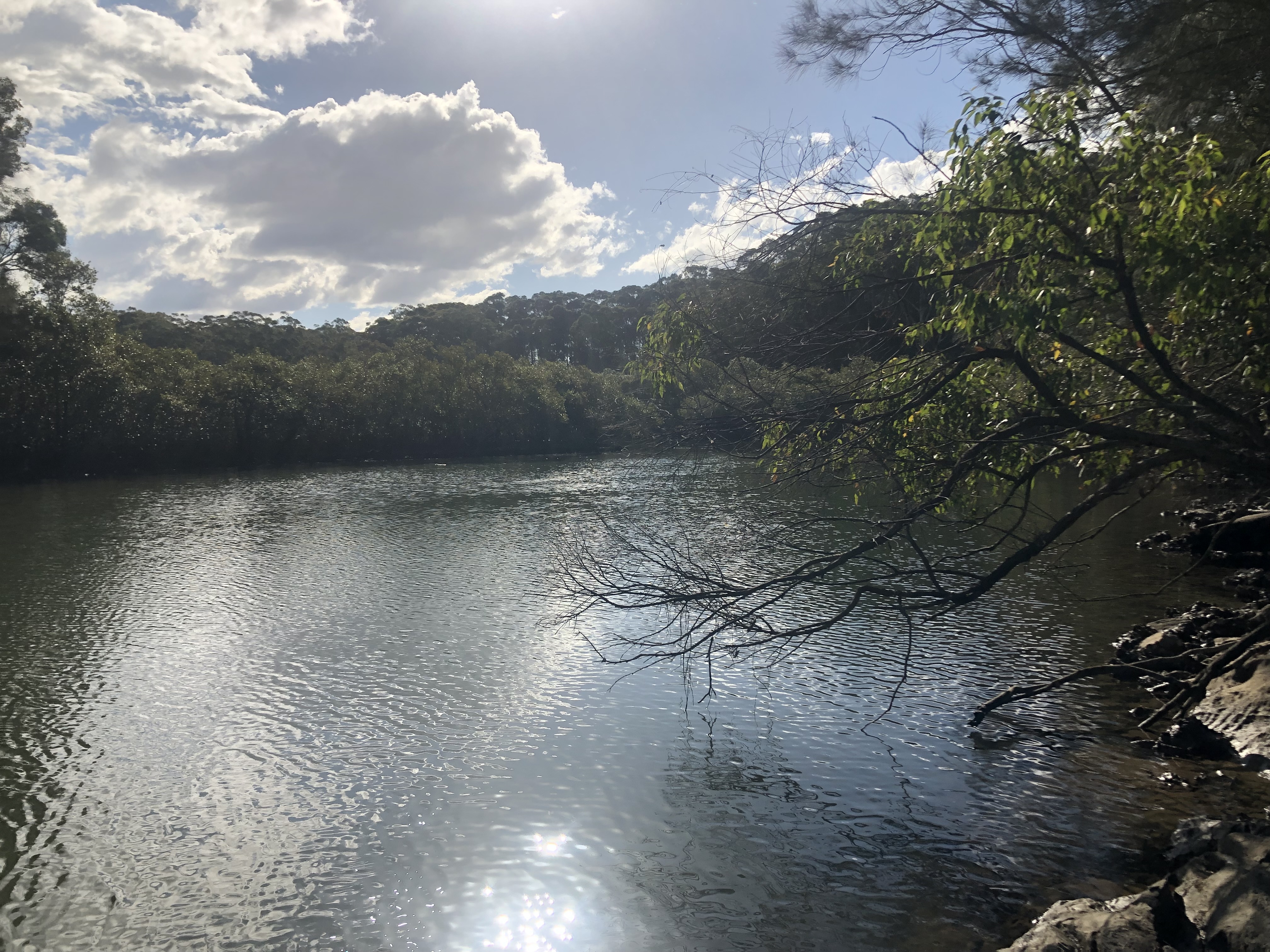 Lot 433 Song Trl, Coffs Harbour, Nsw, 2450 - Image 7