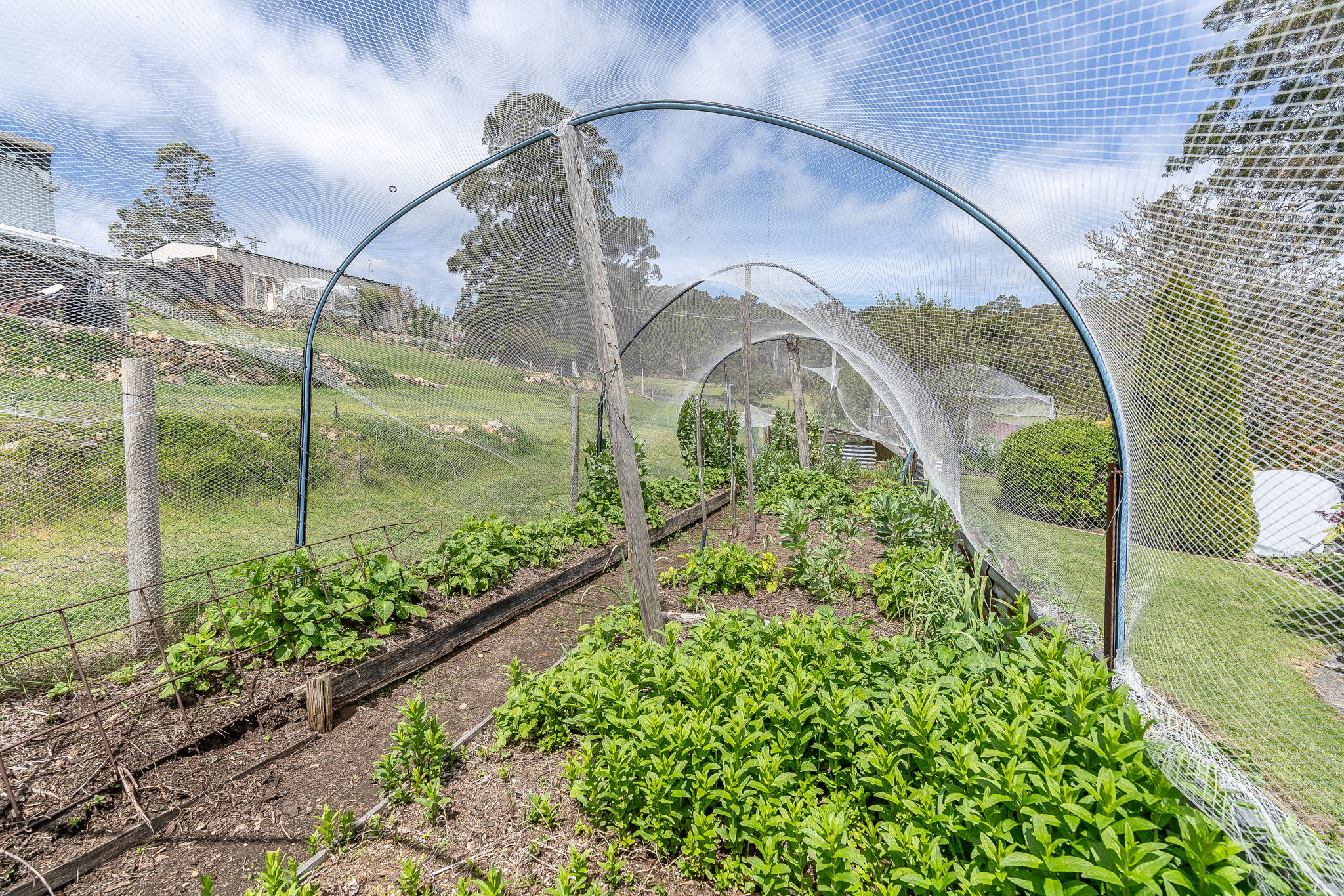 5-bedroom house at 5 Joyce Street, Branxholm, TAS 7261, Dorset, Tasmania