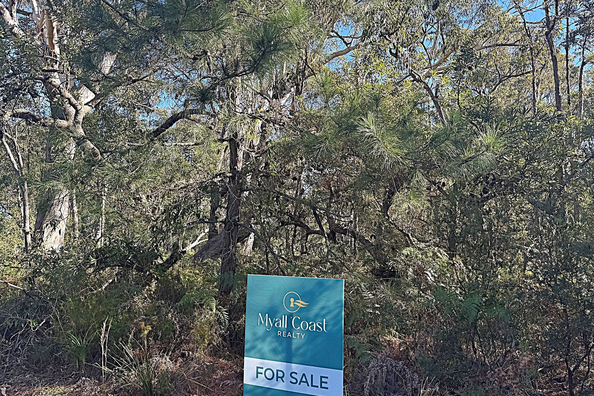 10 Nardoo Street, Pindimar, Nsw, 2324 - Image 3