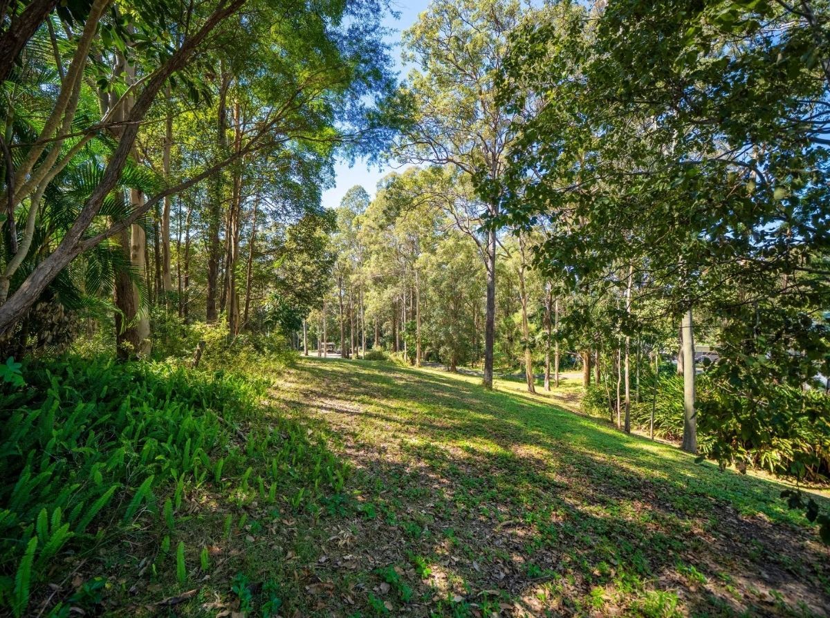 4-bedroom house at 45 Crosby Hill Road, Buderim, QLD 4556, Sunshine Coast, Queensland