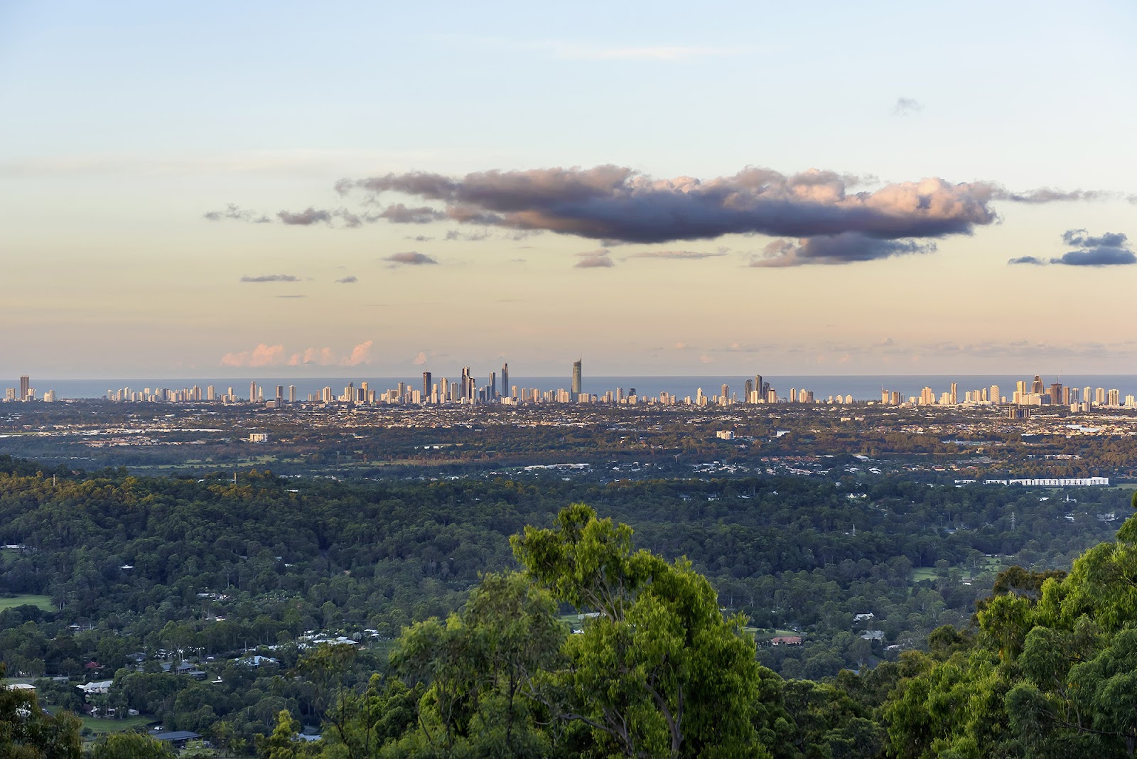 241 The Panorama, Tallai, Qld, 4213 - Image 9