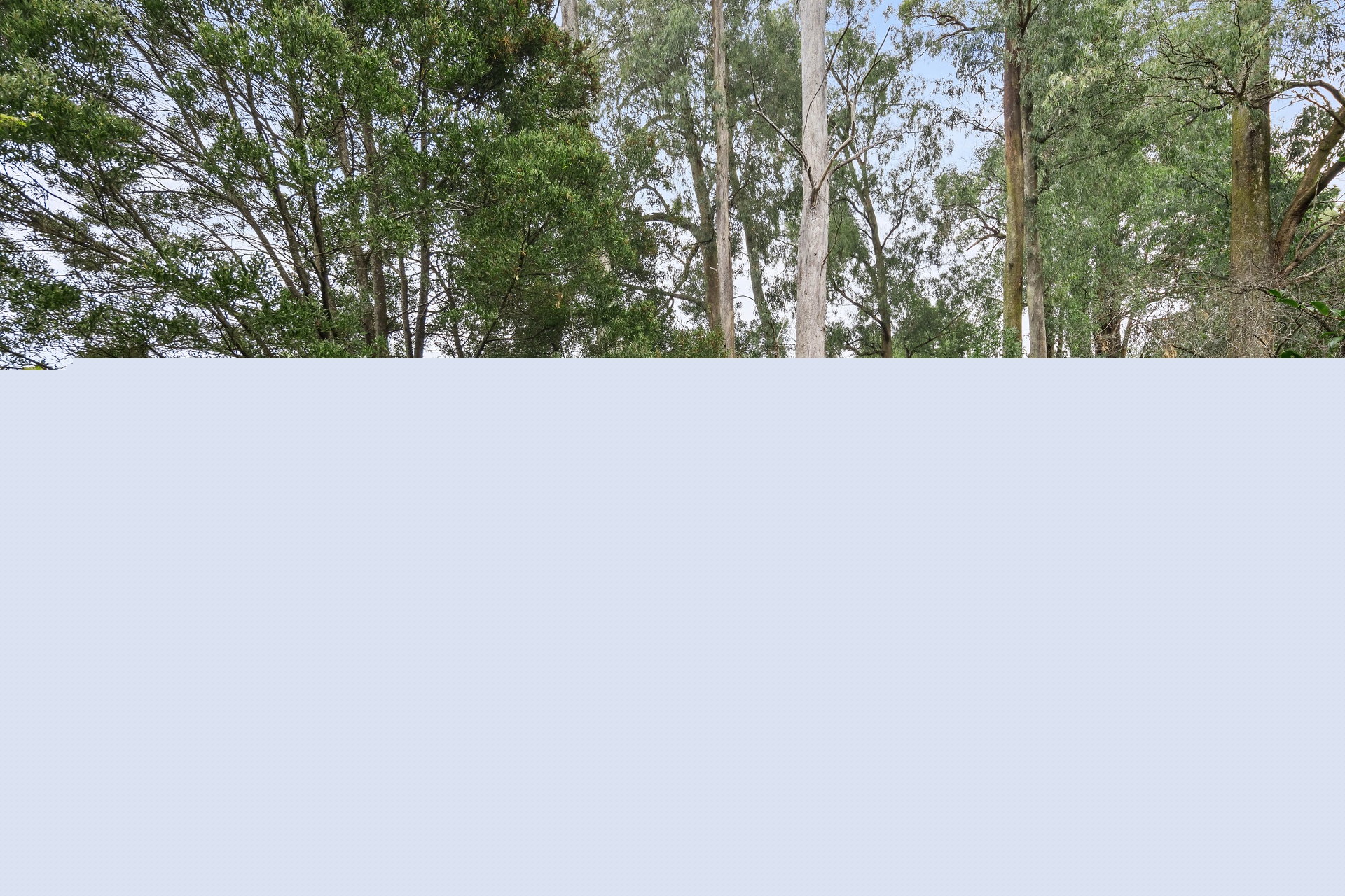 4-bedroom house at 2987 Gembrook-Launching Place Road, Gembrook, VIC 3783, Cardinia, Victoria