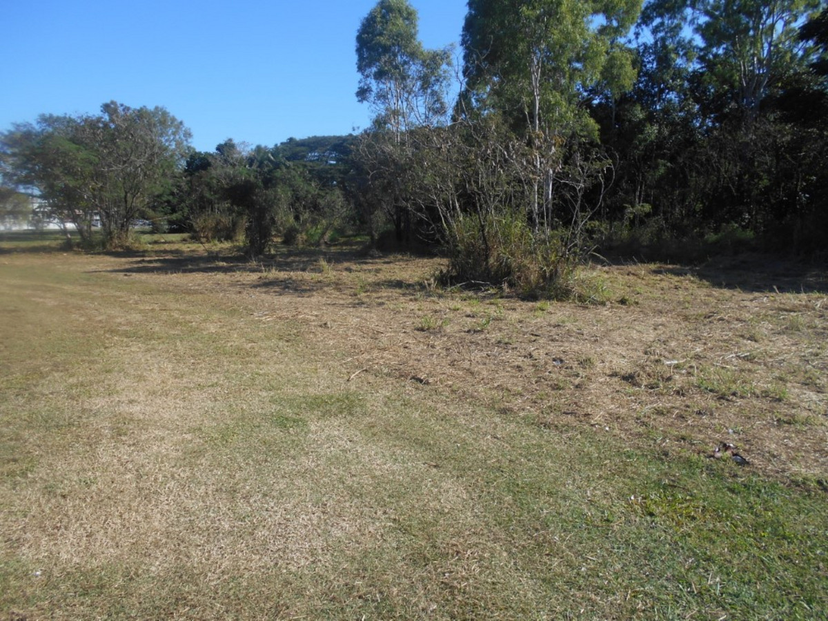 19 - 27 Berwick Street, Ingham, Qld, 4850 - Image 5