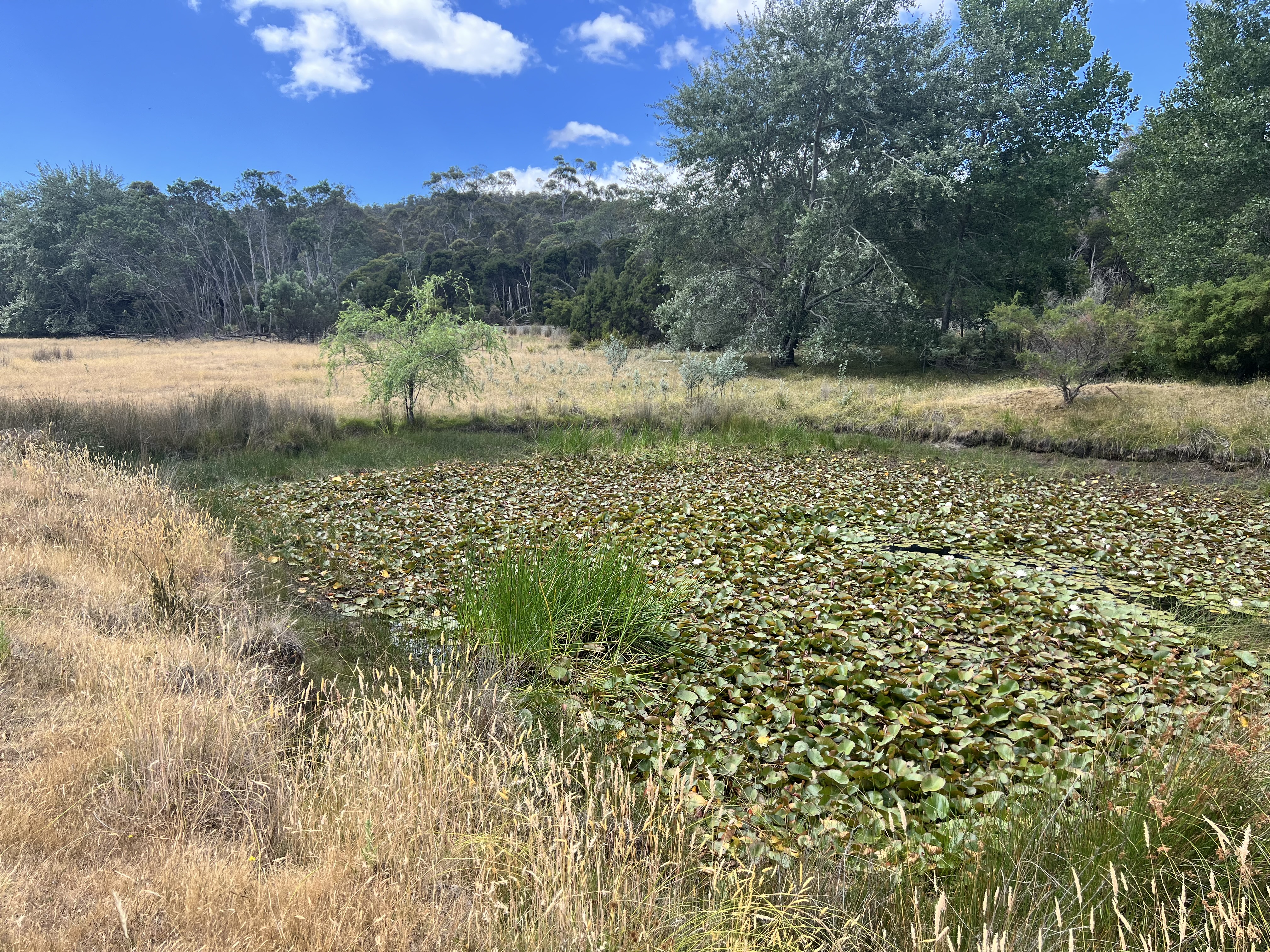 4-bedroom house at 2204 EAST TAMAR HIGHWAY, Mount Direction TAS 7252, George Town, Tasmania
