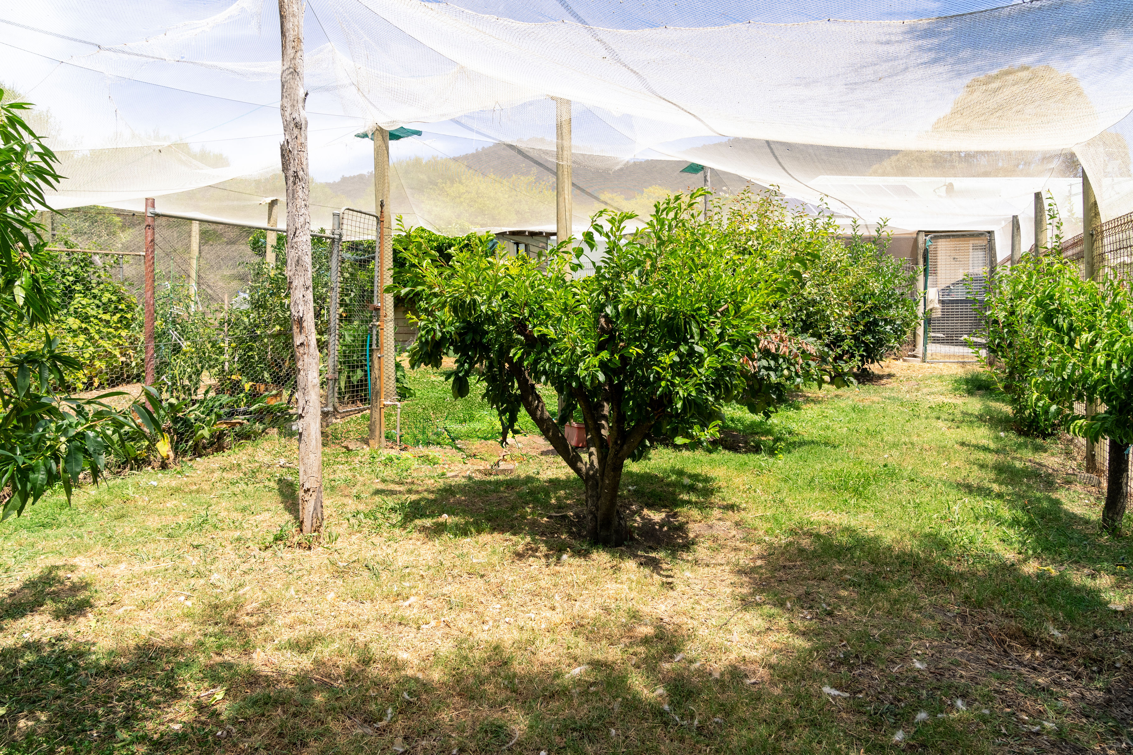 3-bedroom house at 318 RUBICON ROAD, Rubicon VIC 3712, Murrindindi, Victoria