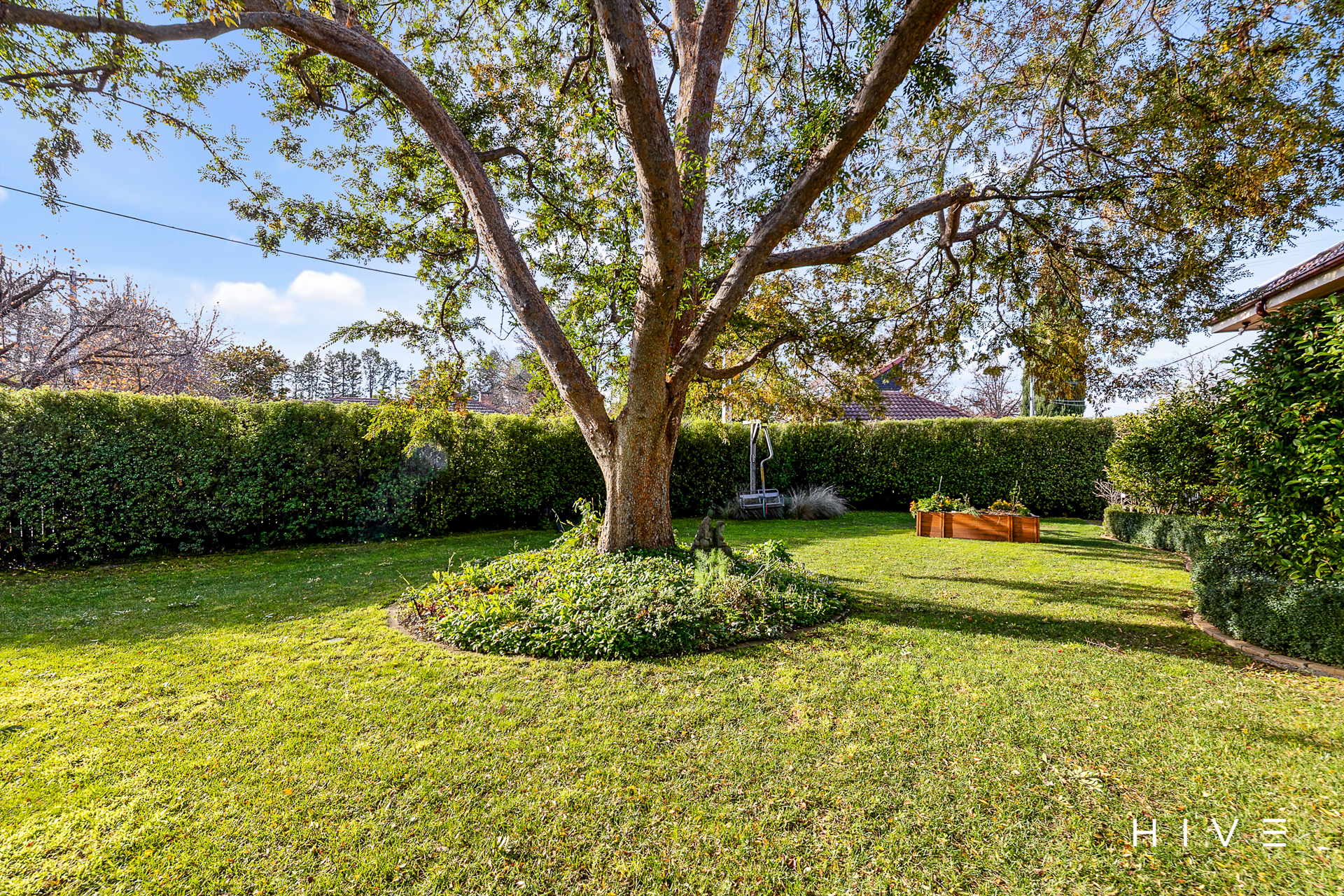 4-bedroom house at 4 HANN STREET, Griffith ACT 2603, Unincorporated Act, Australian Capital Territory