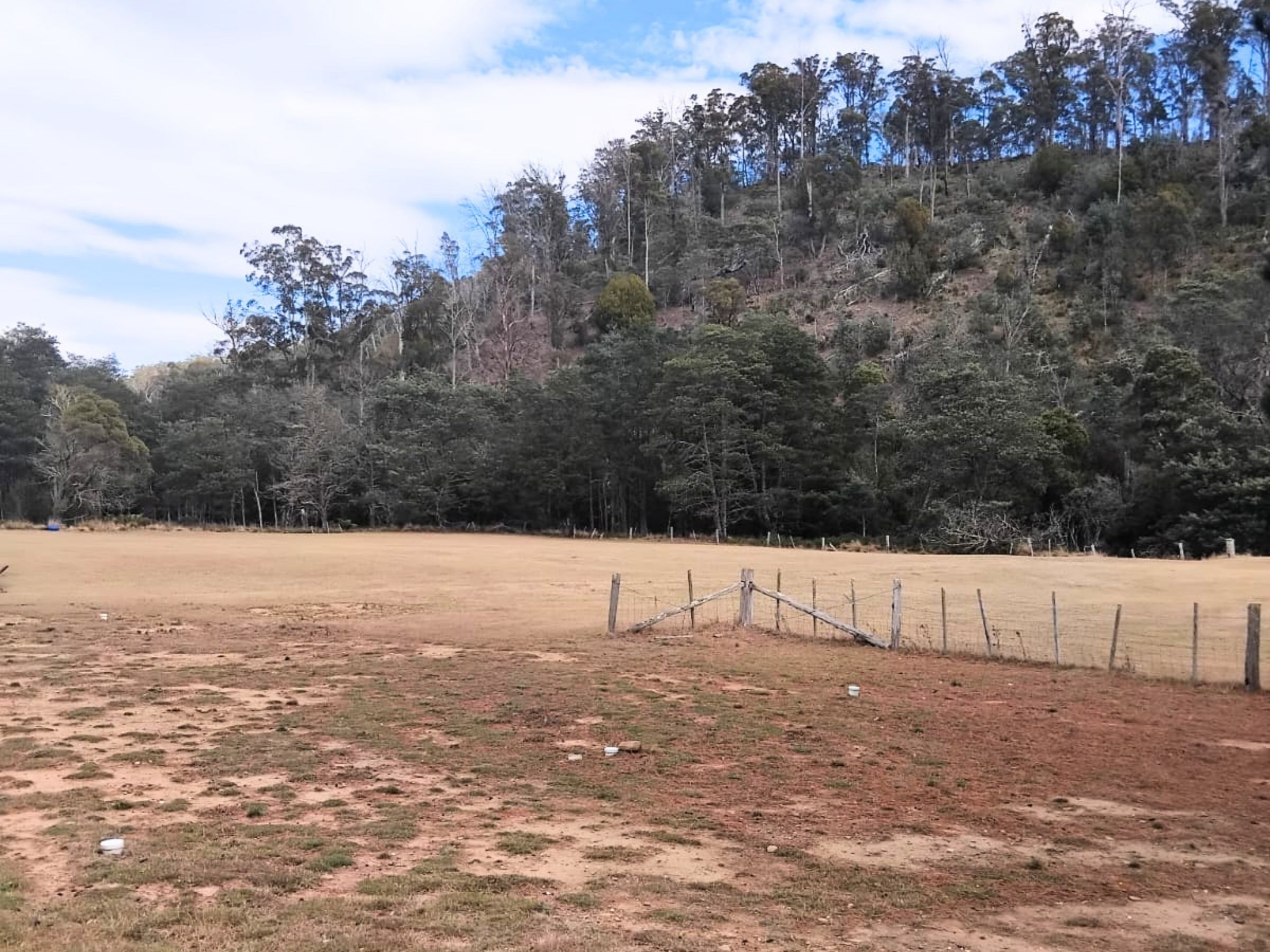3-bedroom house at 855 TYNE ROAD, Mathinna TAS 7214, Break O'day, Tasmania