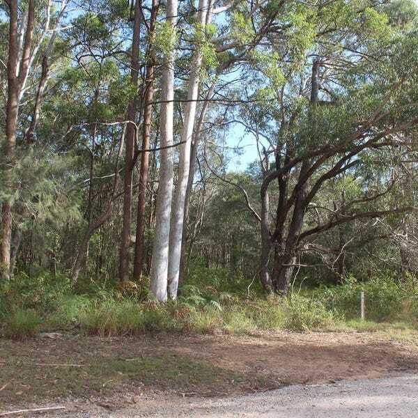 10 Bamberry St, Russell Island, Qld, 4184 - Image 2