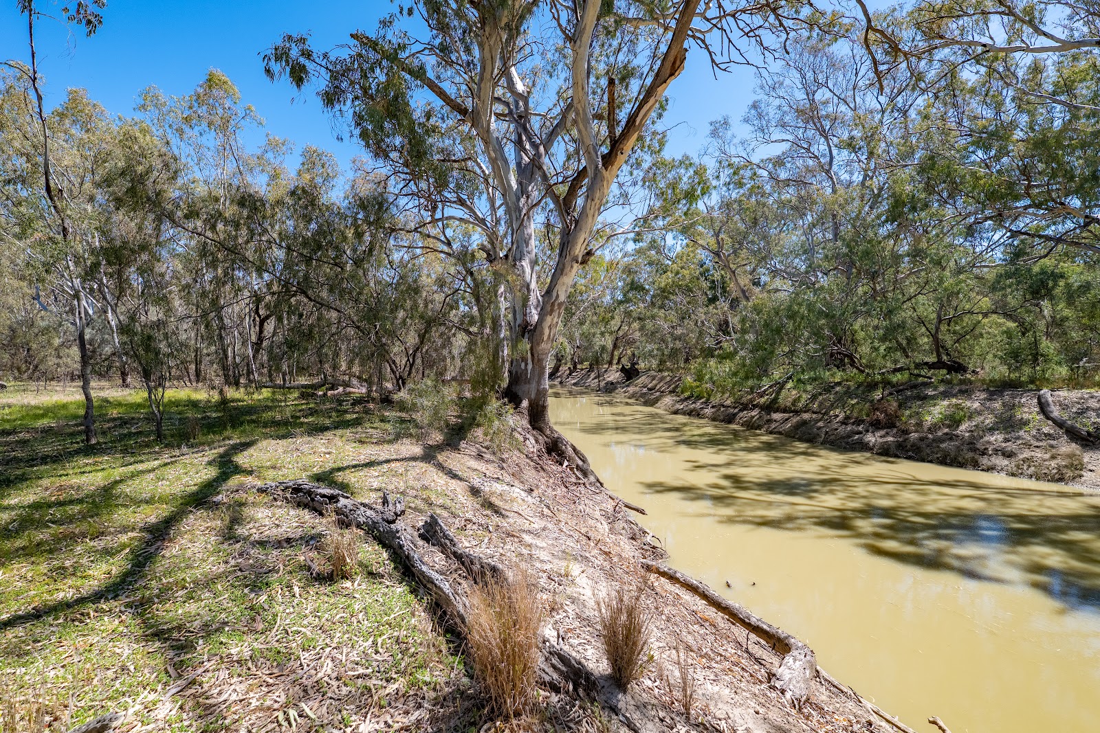 4-bedroom house at 901 LACHLAN RIVER ROAD, Hillston NSW 2675, Carrathool, New South Wales