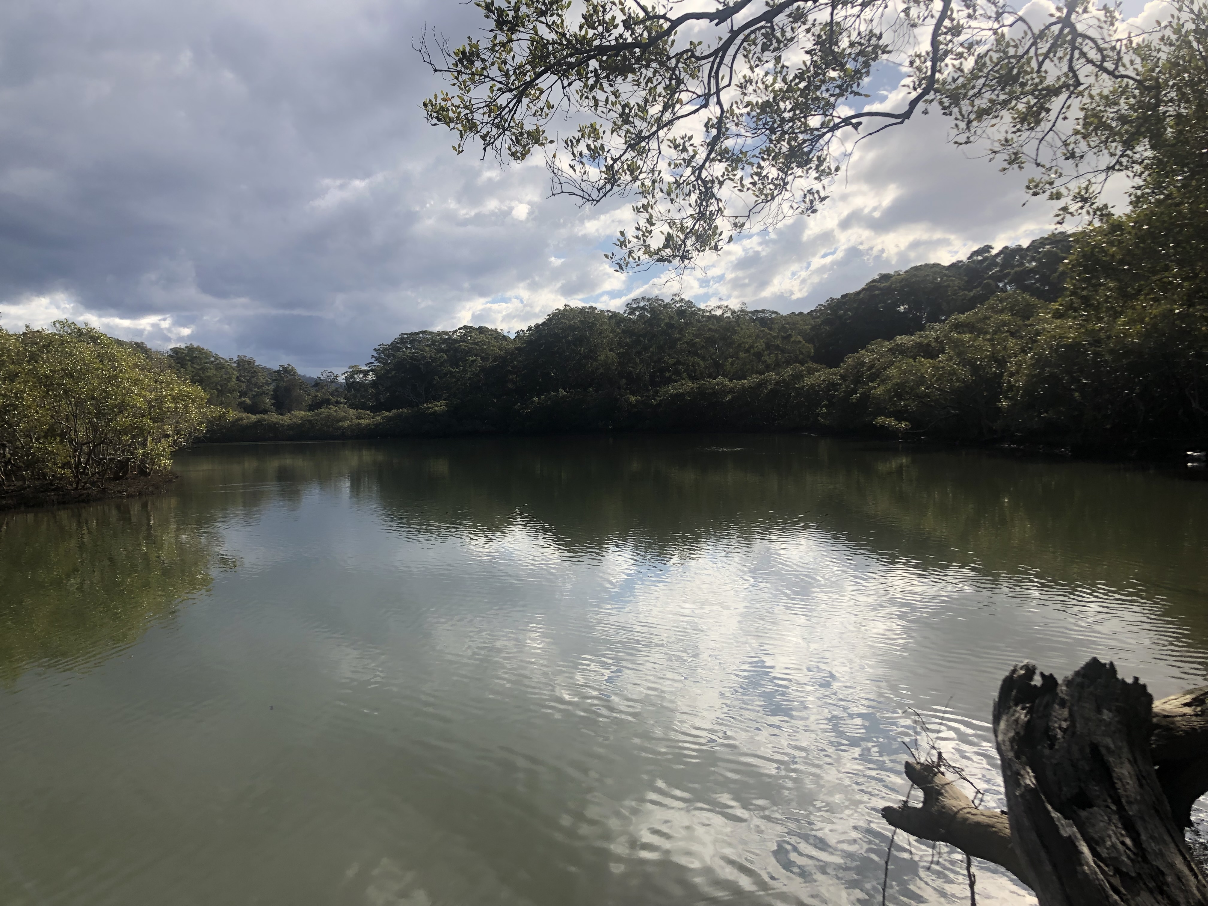Lot 416 Weather Way, Coffs Harbour, Nsw, 2450 - Image 9