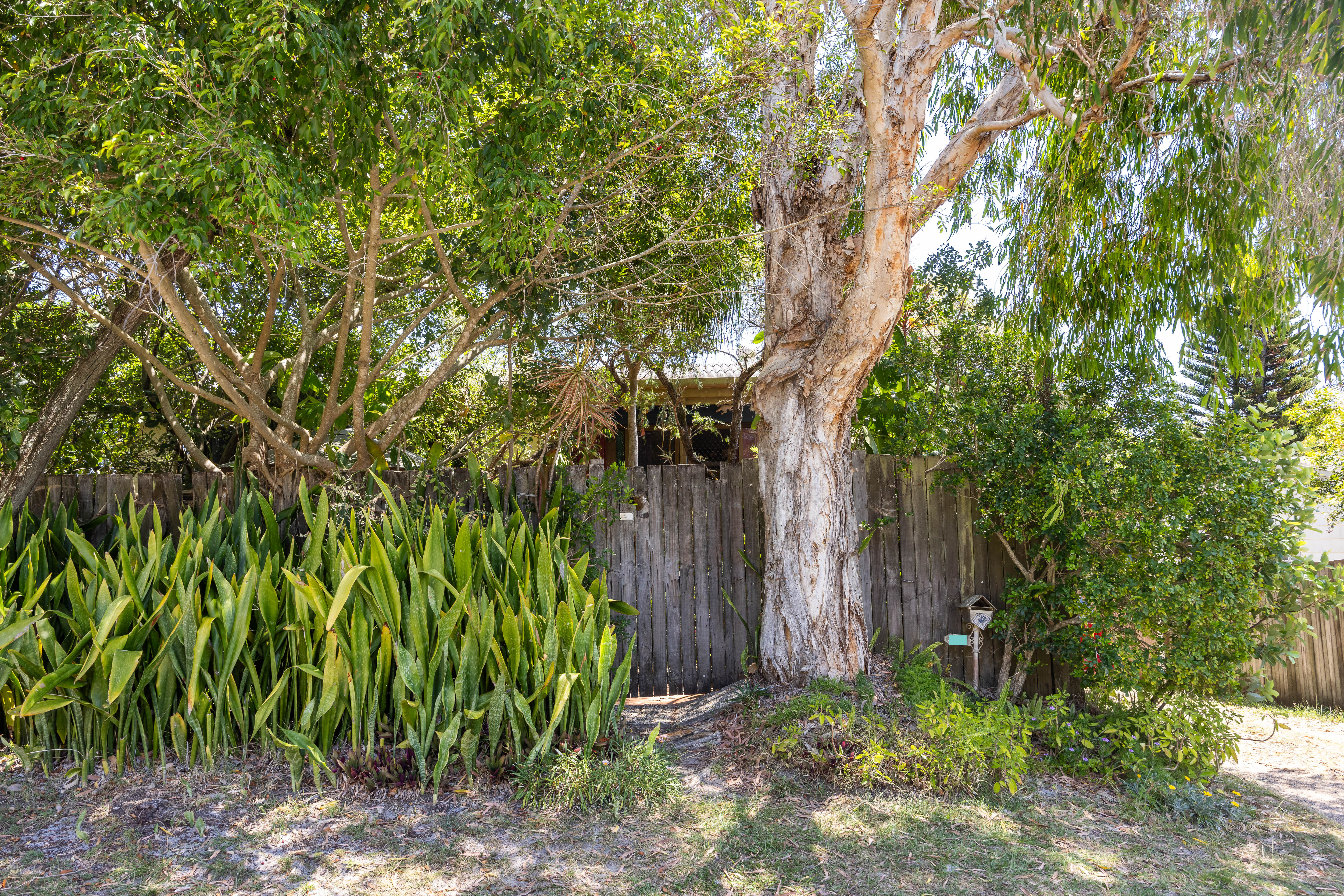 25 Oriole Avenue, Peregian Beach, QLD 4573 - Image 6