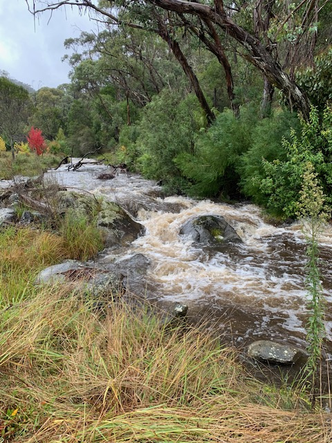 Part 1420 Goobarragandra Road, Tumut, Nsw, 2720 - Image 6