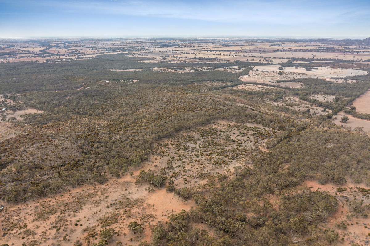 Sec 15 Mitchell Lane, Wedderburn, Vic, 3518 - Image 4