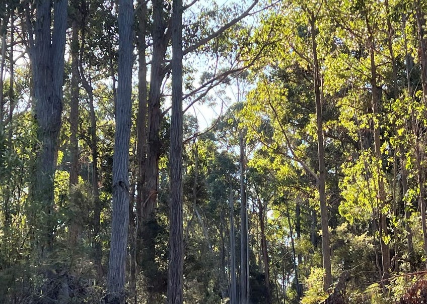 4-bedroom house at 2204 EAST TAMAR HIGHWAY, Mount Direction TAS 7252, George Town, Tasmania