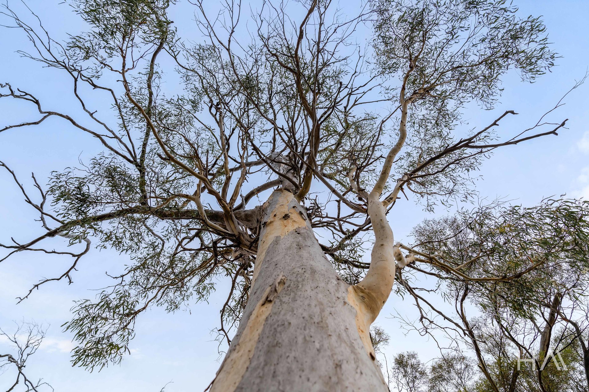 Lot 50 Springs Road, Swansea, Tas, 7190 - Image 8