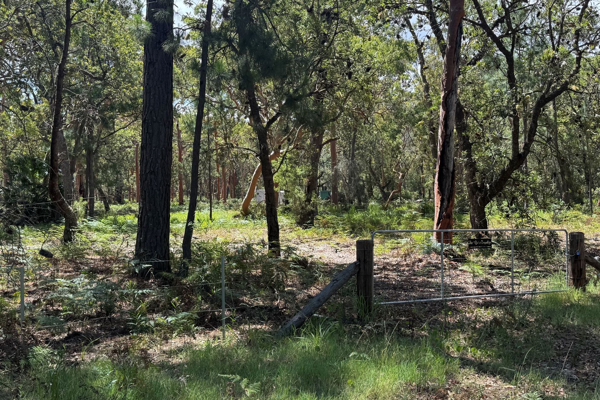 127 Koree Street, Pindimar, Nsw, 2324 - Image 3