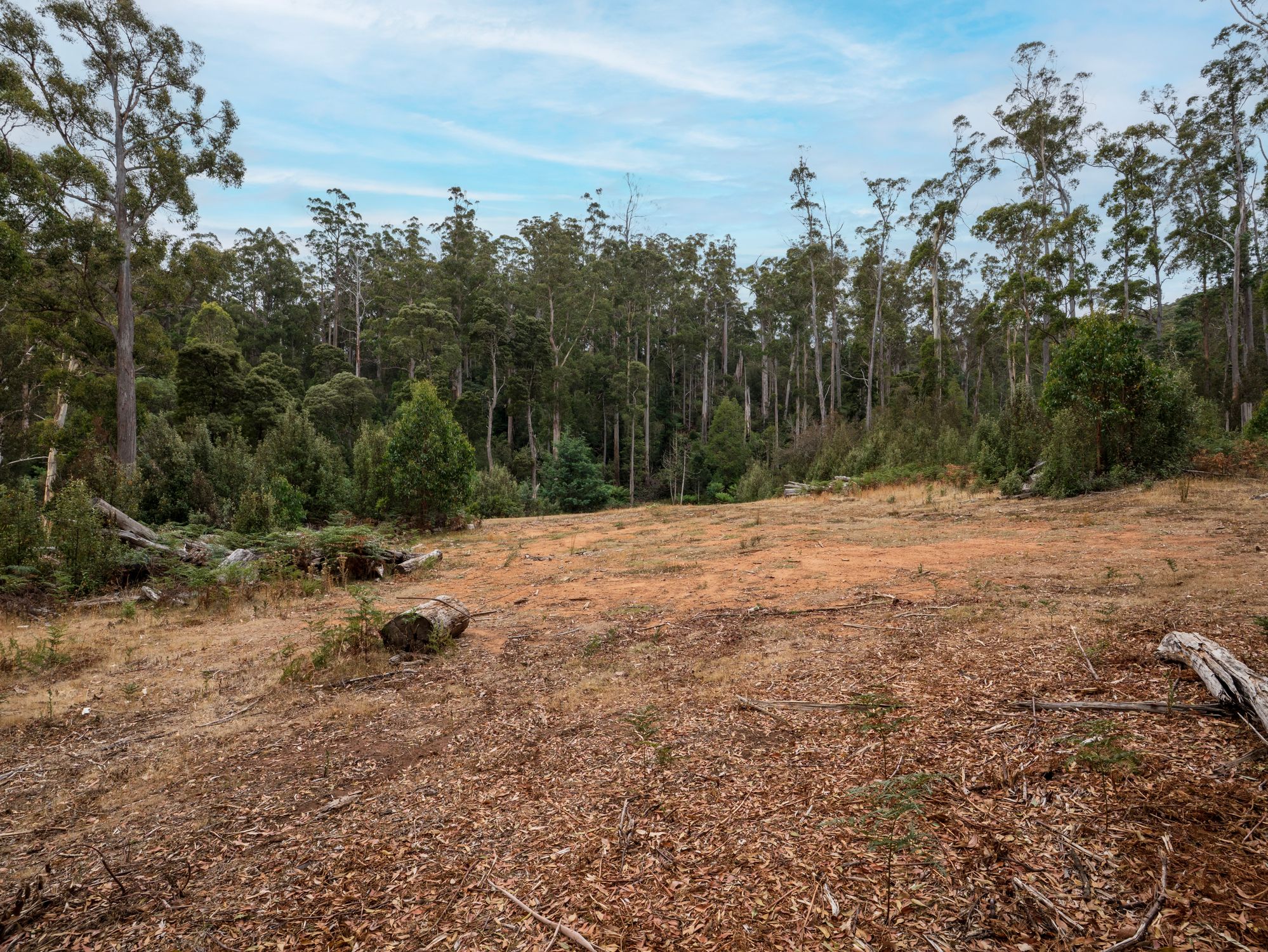 1-bedroom house at 167 LAKE BARRINGTON ROAD, Wilmot TAS 7310, Kentish, Tasmania