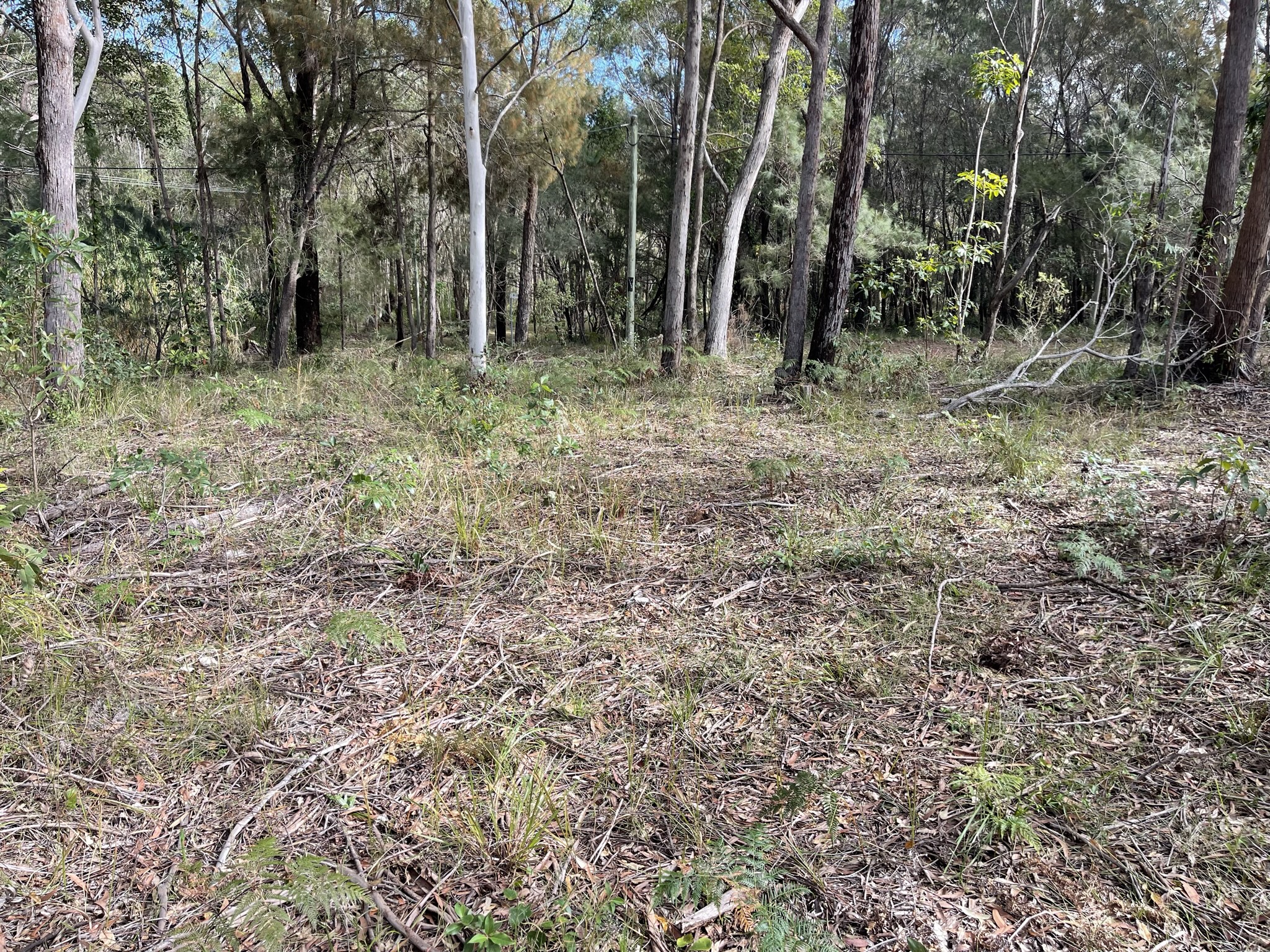 2 Canopy Crescent, Russell Island, Qld, 4184 - Image 7