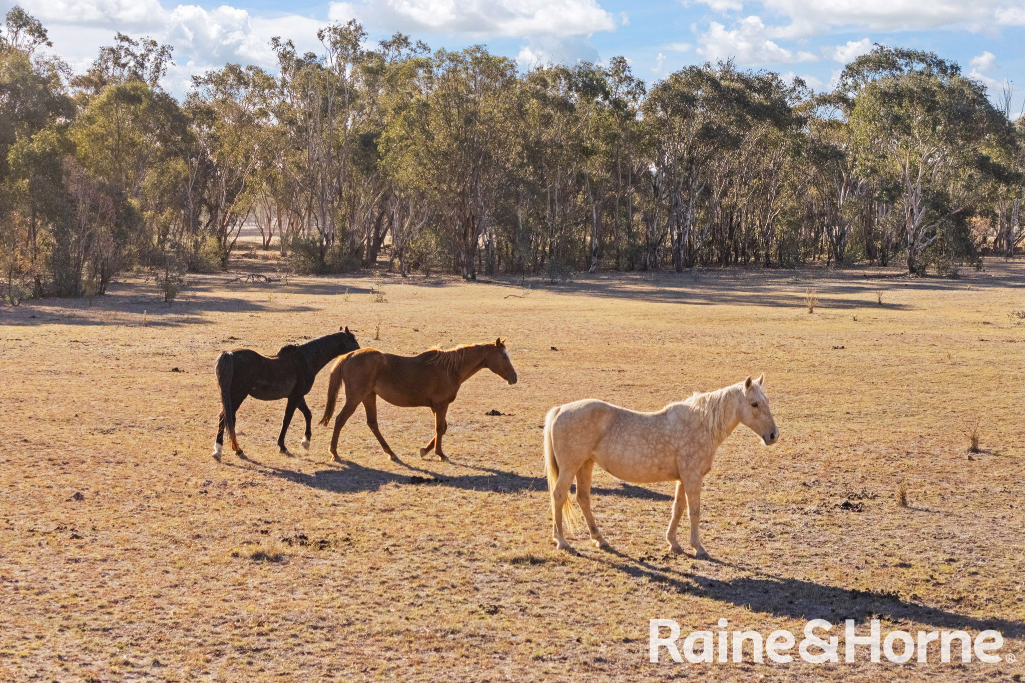 4-bedroom house at 122 Kurtz Lane, Mudgee, Nsw, 2850, Mid-Western, New South Wales