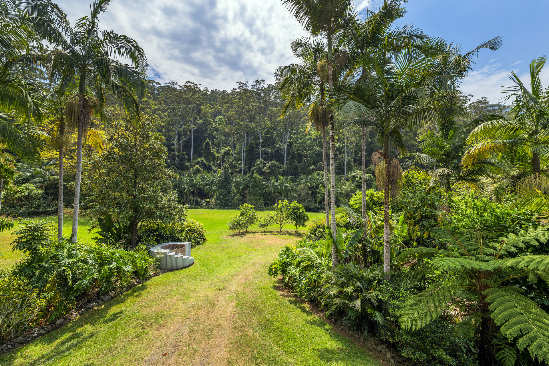 109 Little North Arm Road, Thora, NSW 2454 - Image 6