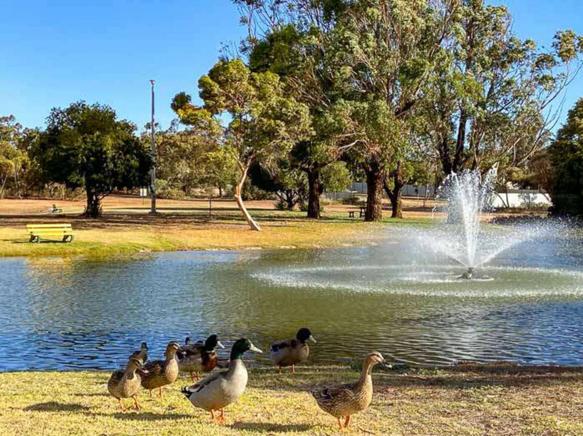 3-bedroom house at 28 Hill Street, Peterborough, SA 5422, Peterborough, South Australia