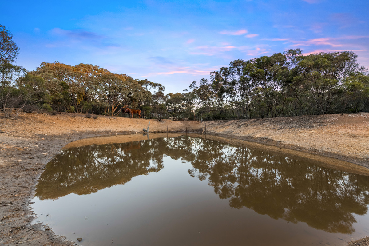 4-bedroom house at 407 Josephine Drive, Wedderburn, VIC 3518, Loddon, Victoria
